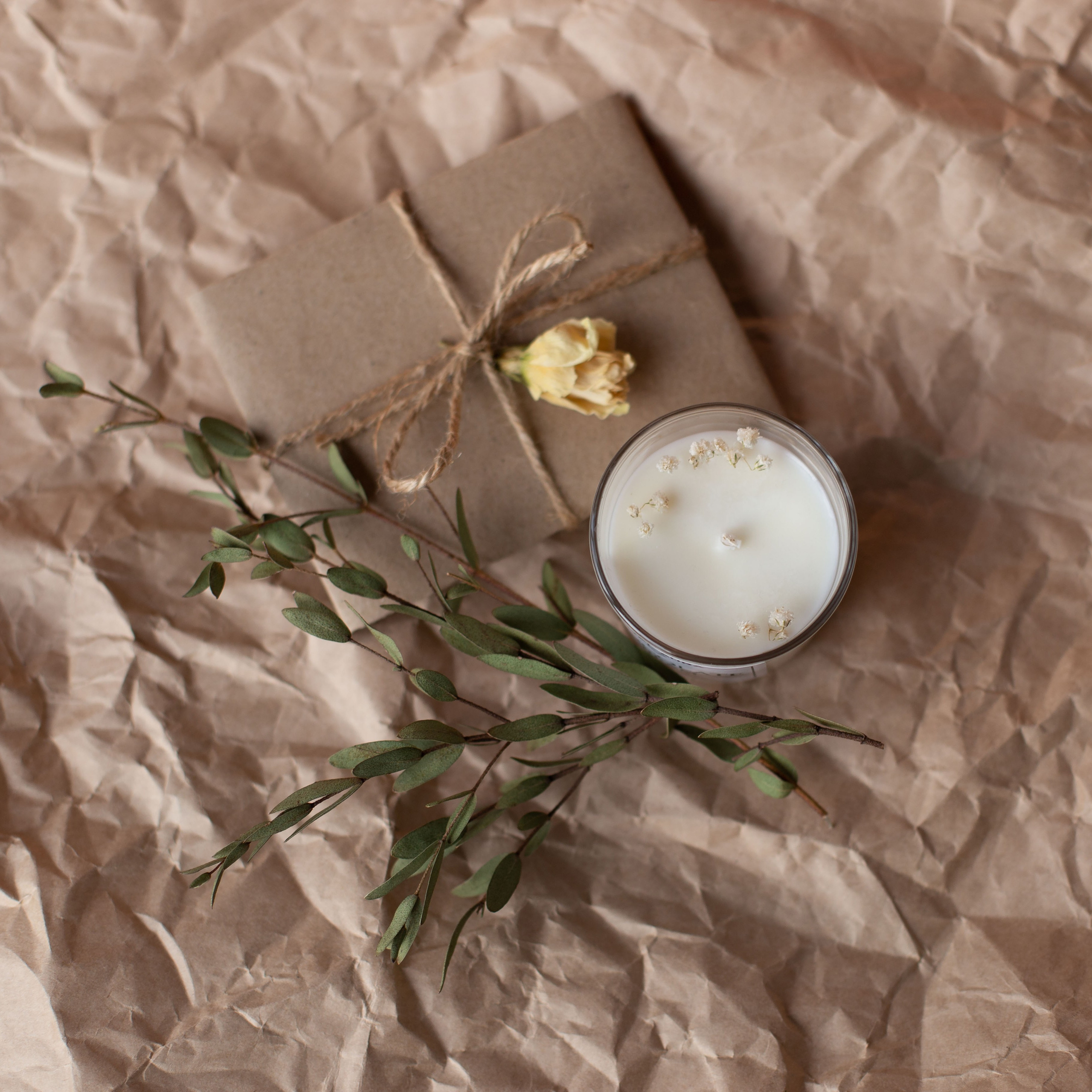 Имиджевая предметная съемка. Фотограф Юлия Ржевская [Москва]