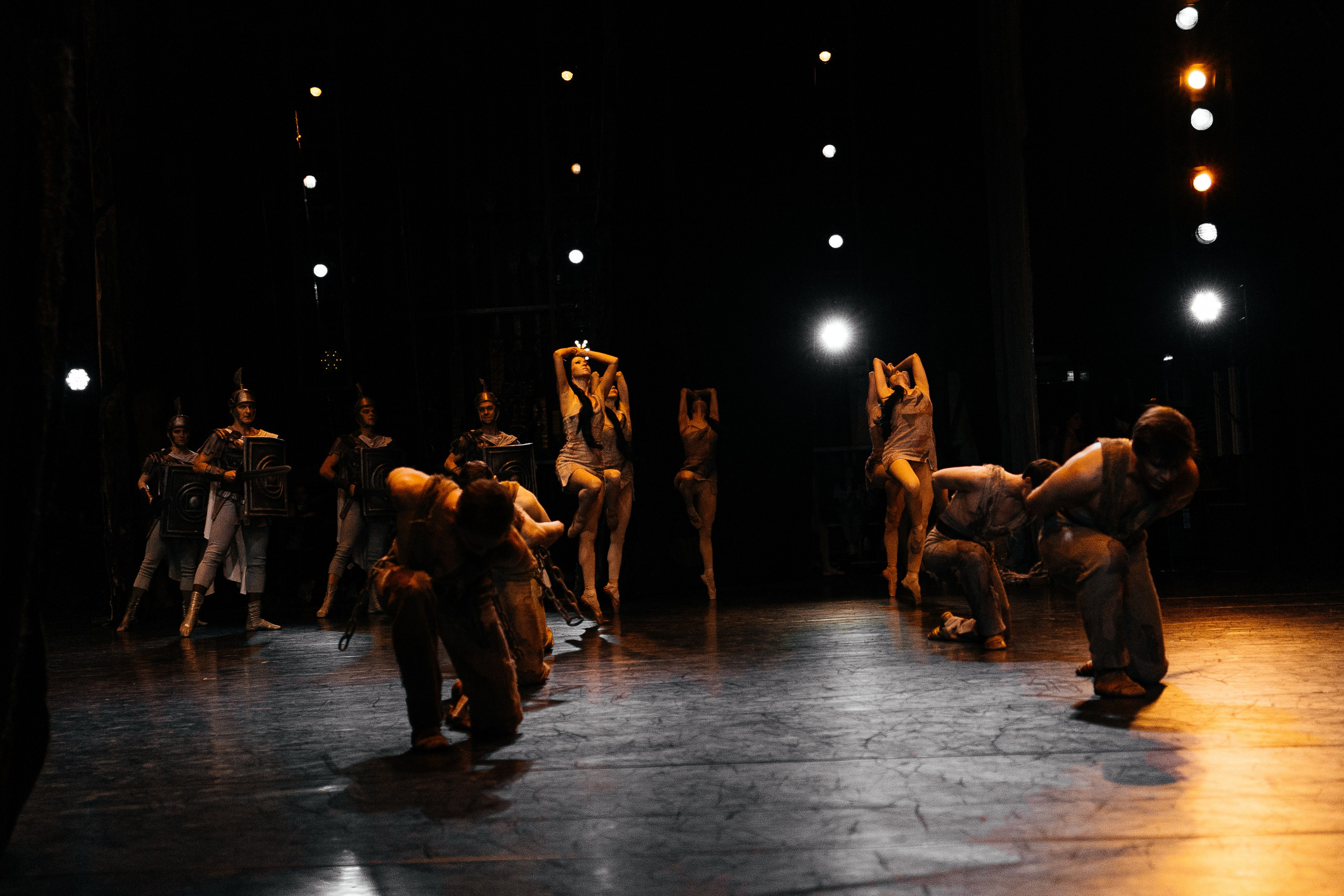 Спартак. Фотограф в Краснодаре Лагунов Владимир