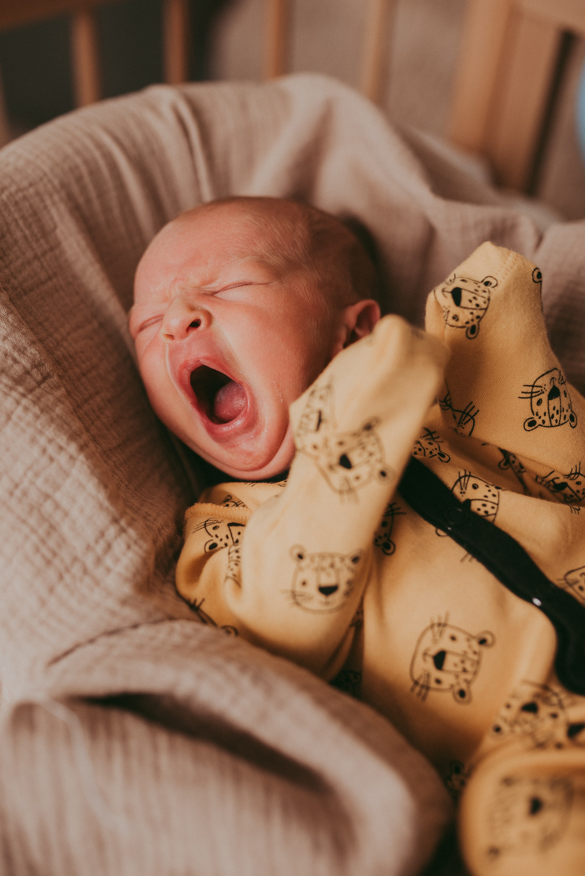 Маленький космос. Семейный и детский фотограф в Новосибирске и Краснообске — Анна Ким