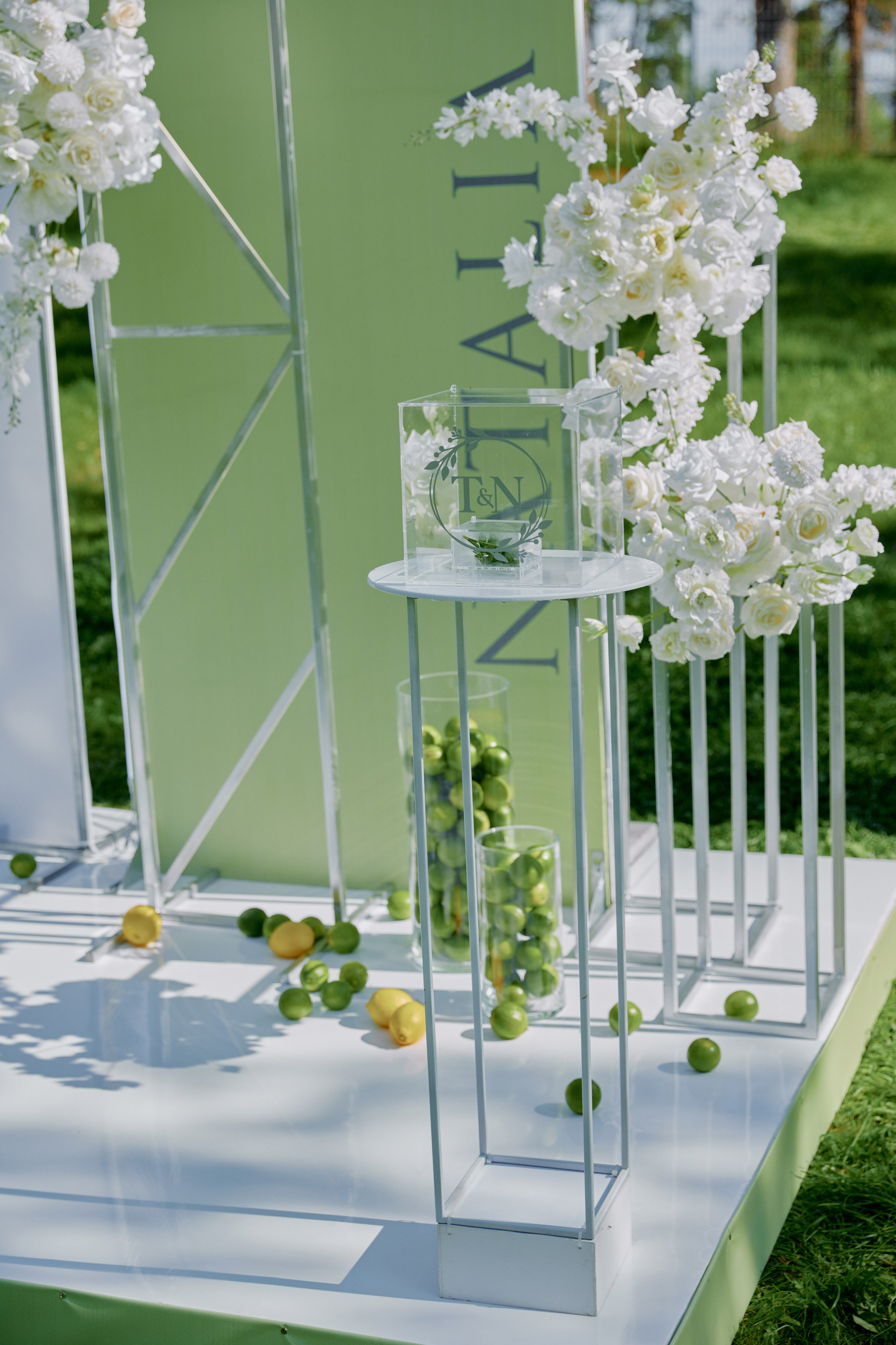 Лаймовое настроение. Фотограф Елена Краснопевцева