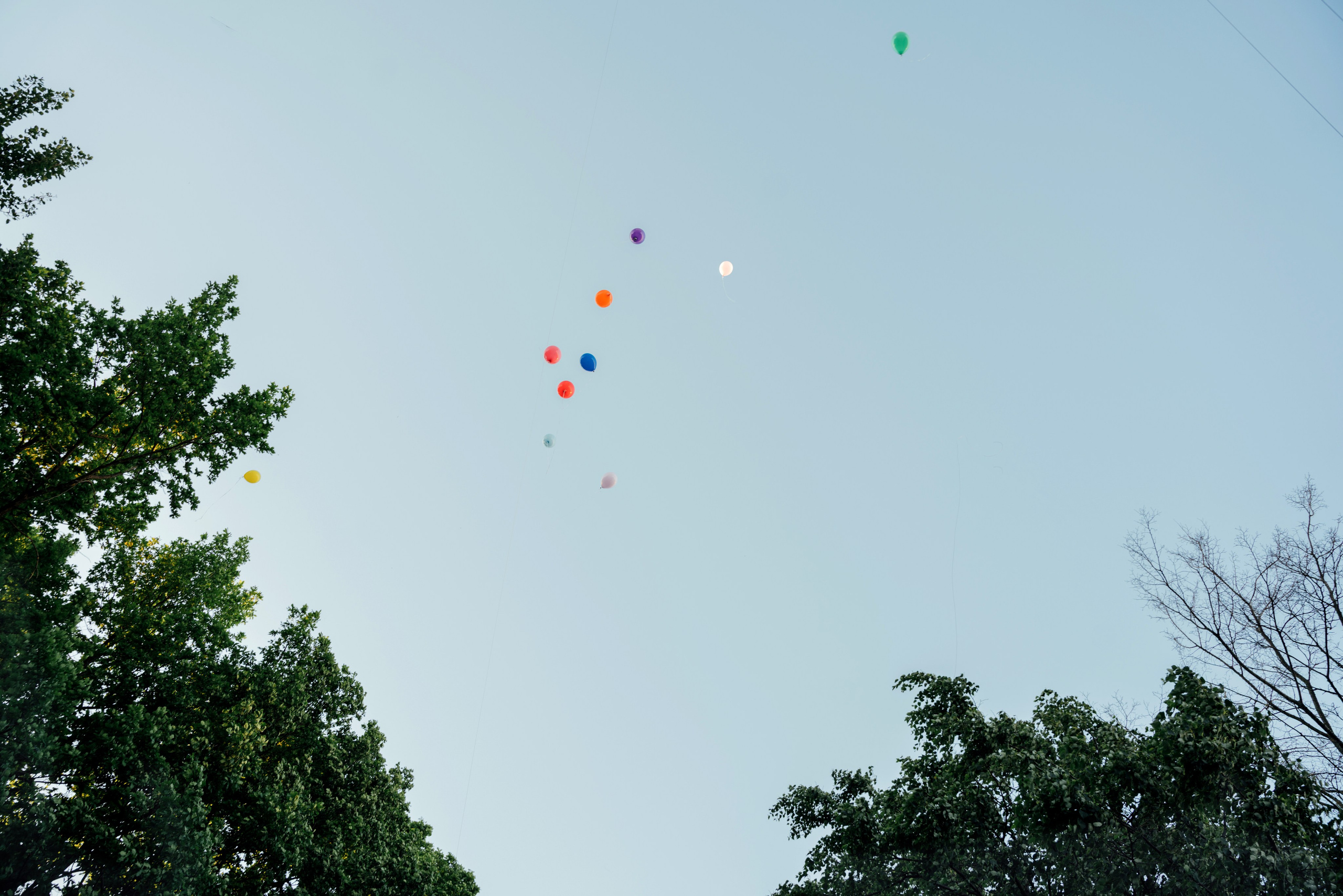 Уютный мир детского сада «Домовенок». Профессиональный детский и семейный фотограф в Москве Диля Грошева