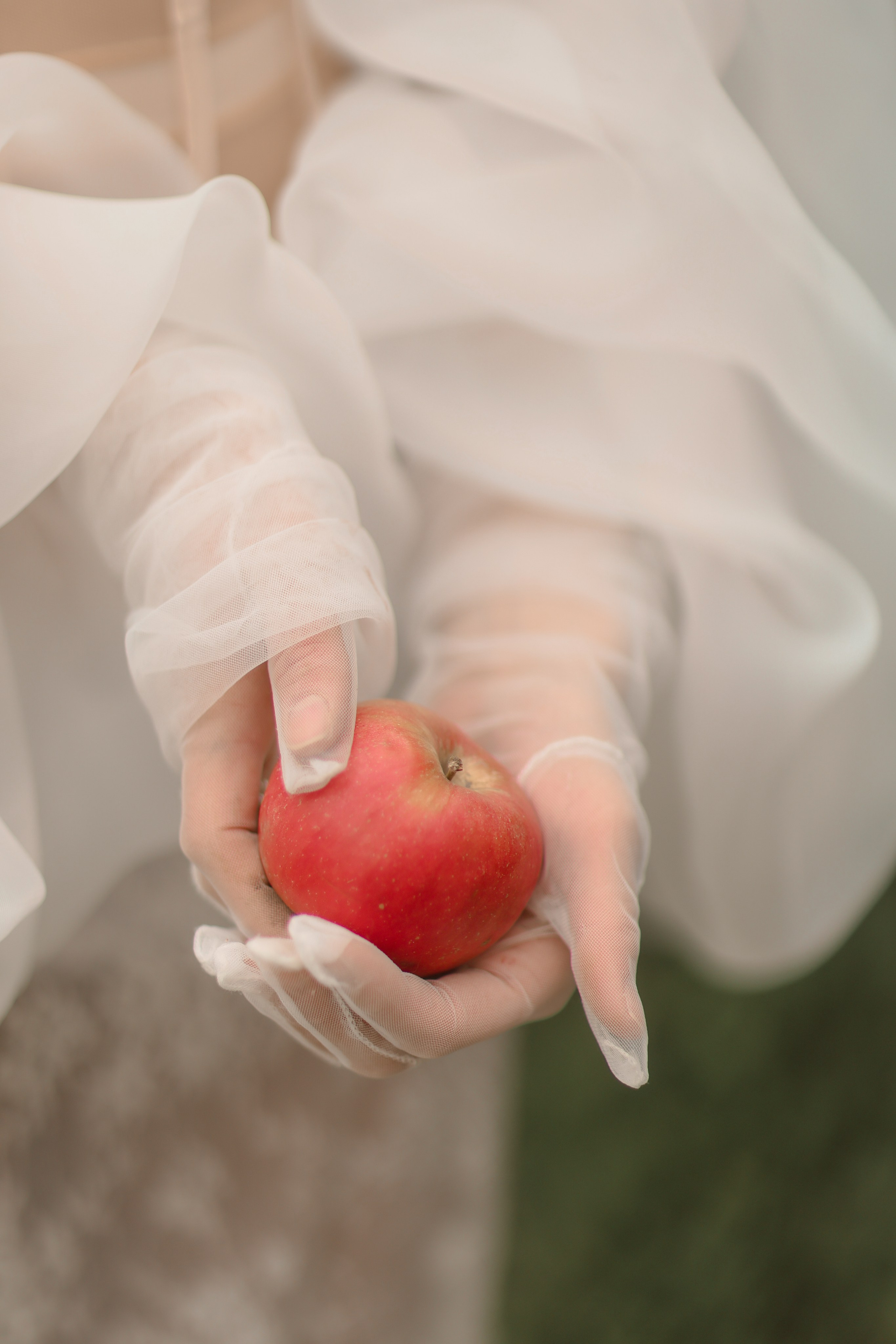 Botanica. Kharchenkotatianaweddingphoto