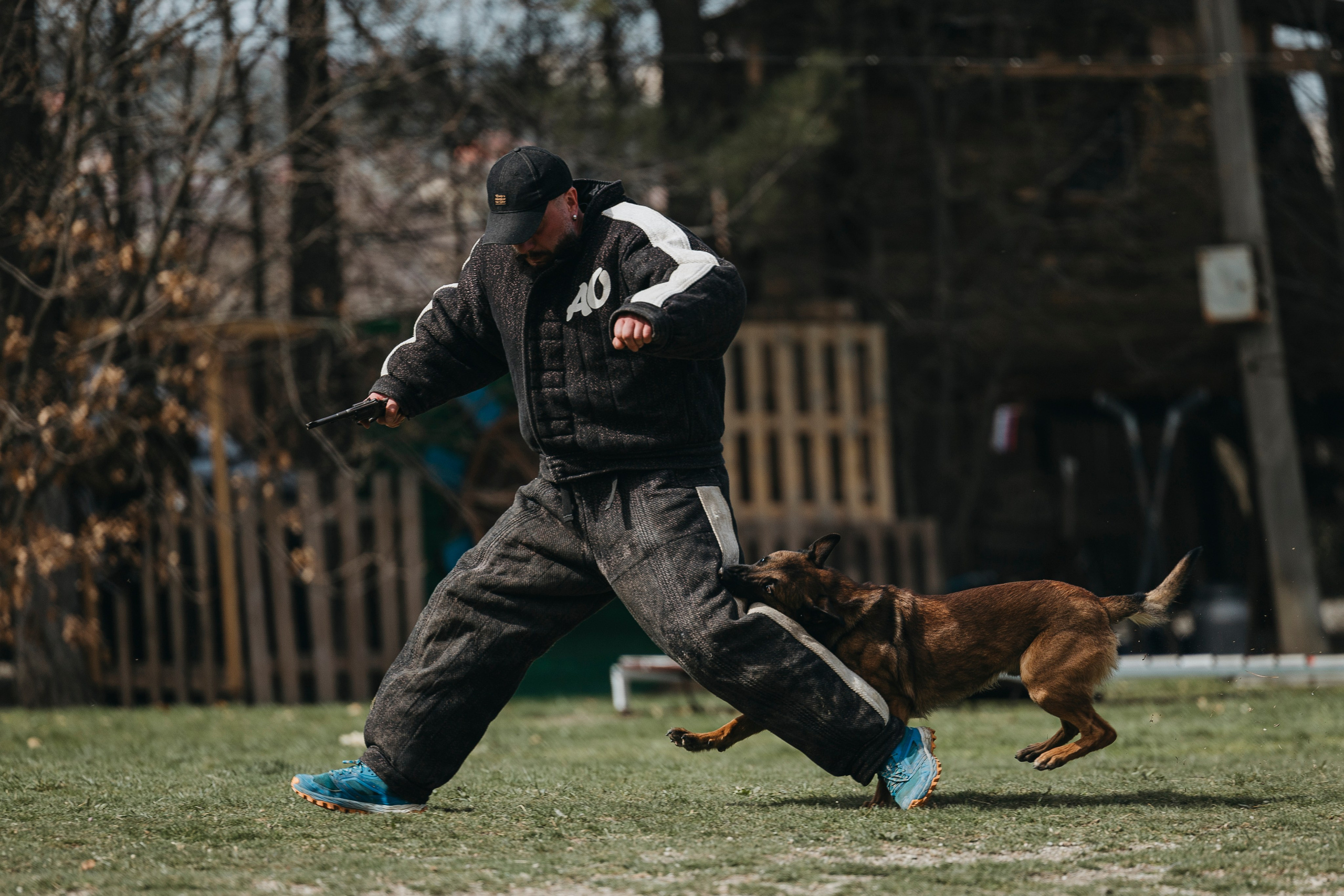 Геленджик Мондьоринг. Фотограф-анималист Анна Маринич