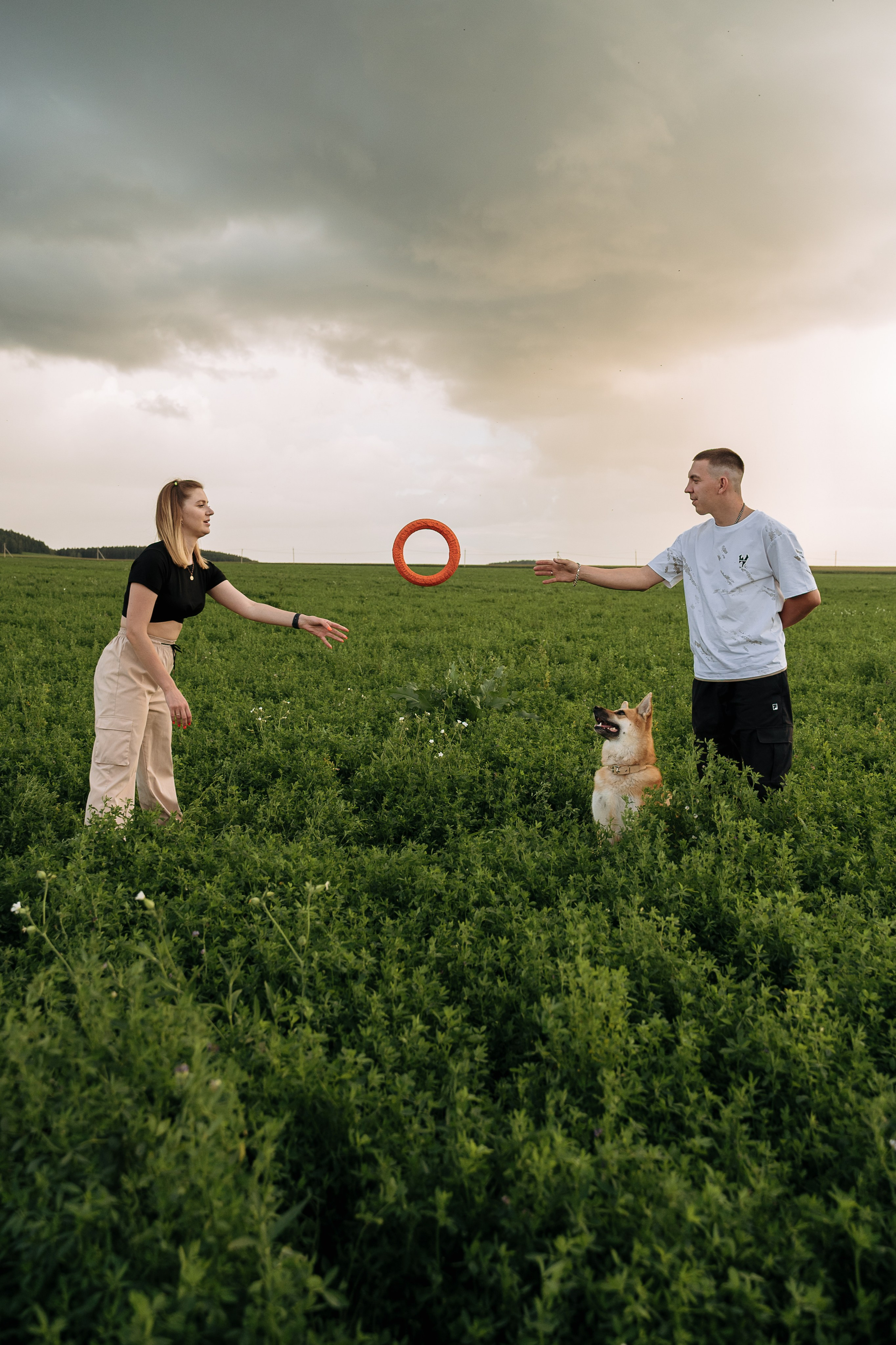 Игра с собакой в поле