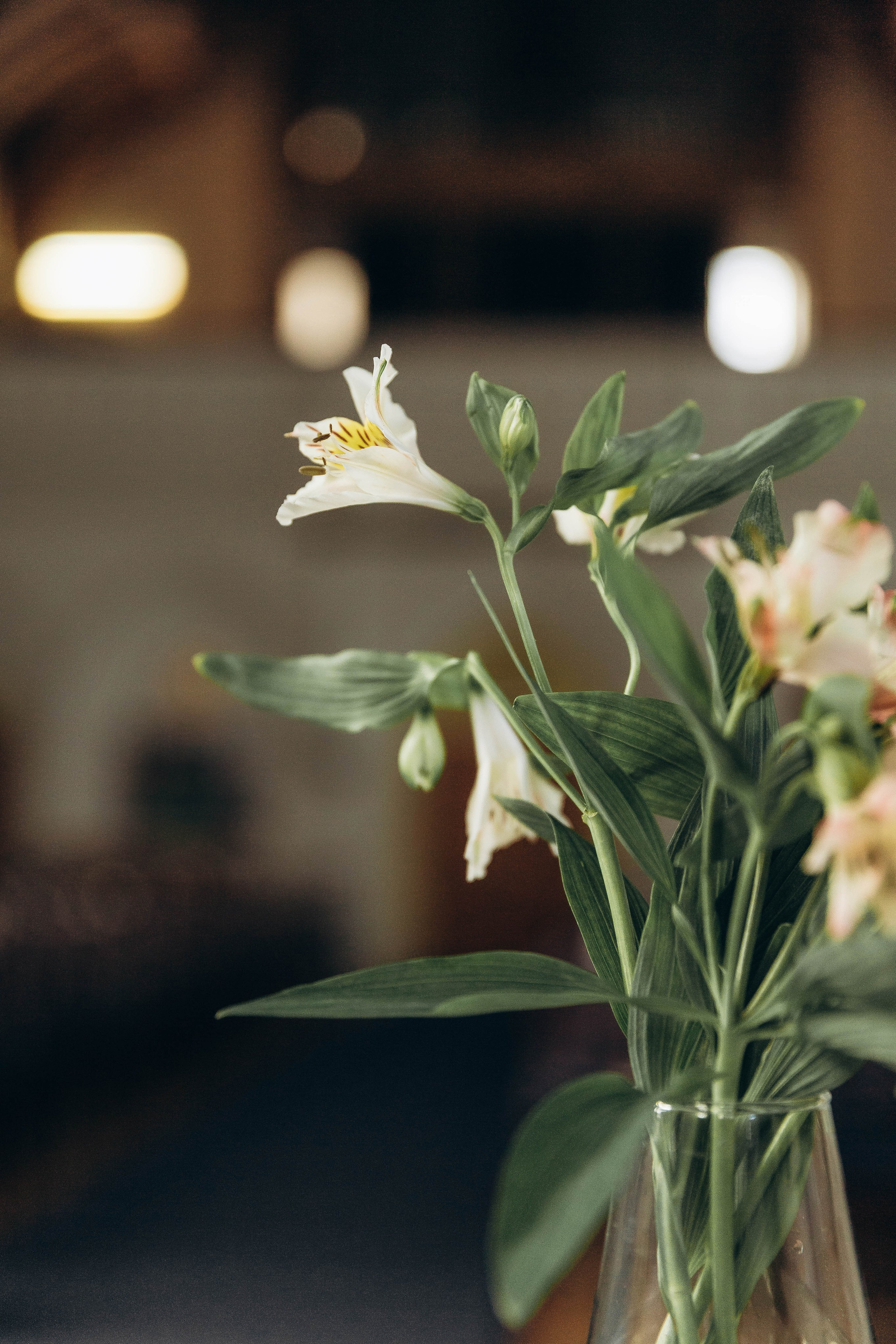 Инна и Даниэль. Katerina Schastlivaya