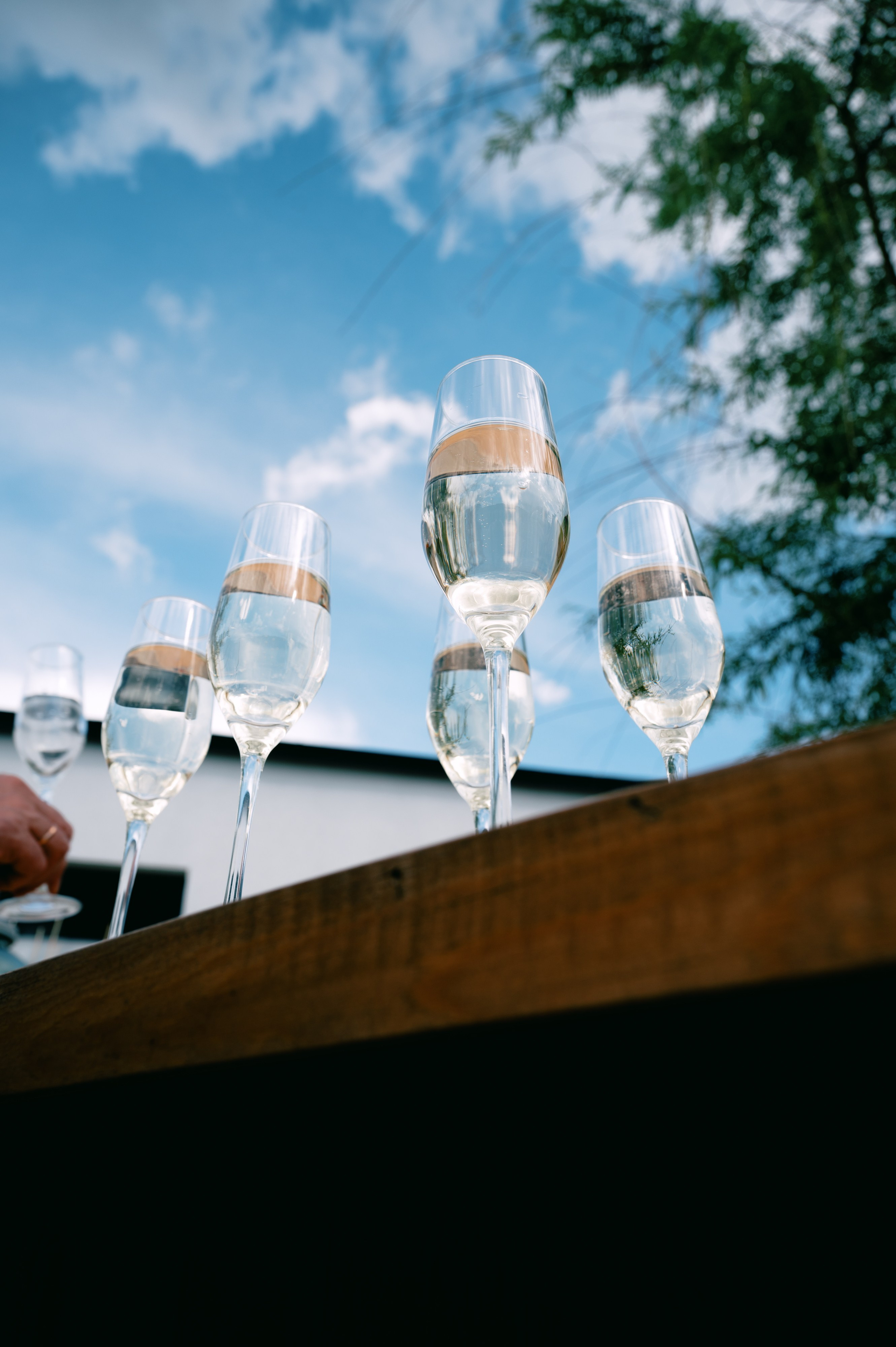 Иван и Александра. SARKISOPH | Фотограф Волгоград