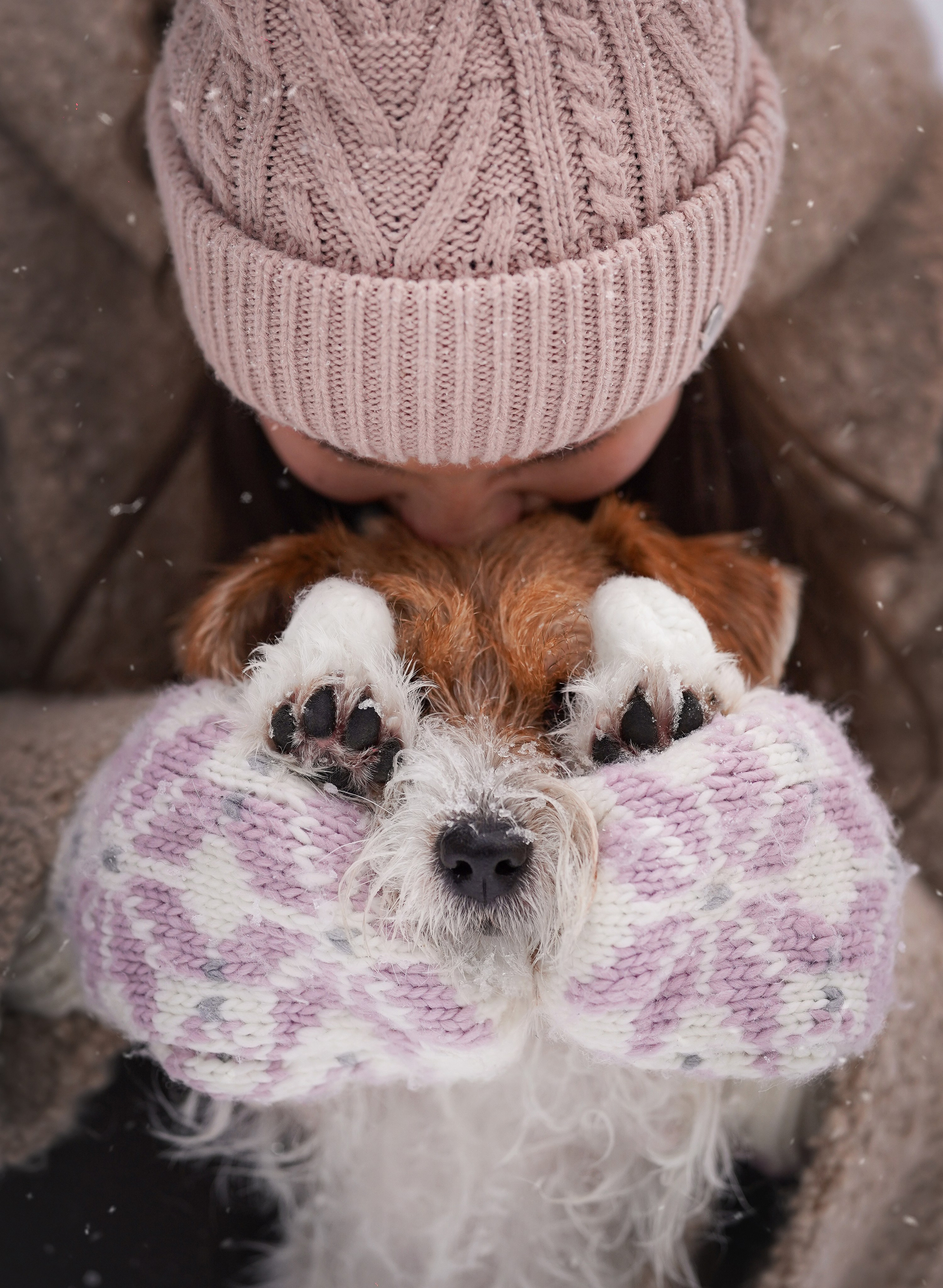 Люба и Тося. Фотограф-анималист в Санкт-Петербурге Яна Мартынова
