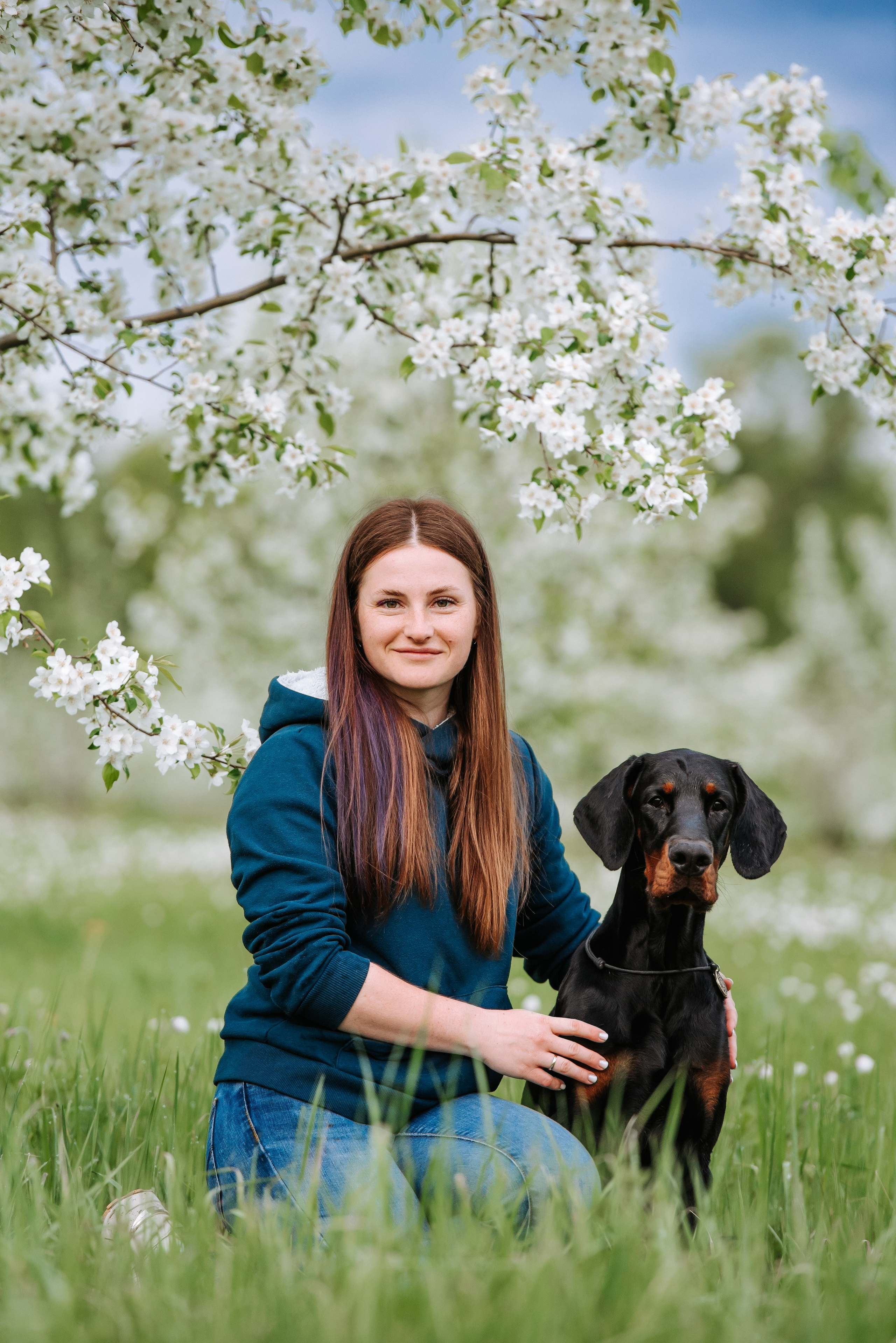 Цветение с доберманами. Фотограф Диана Оленина Красноярск / Братск
