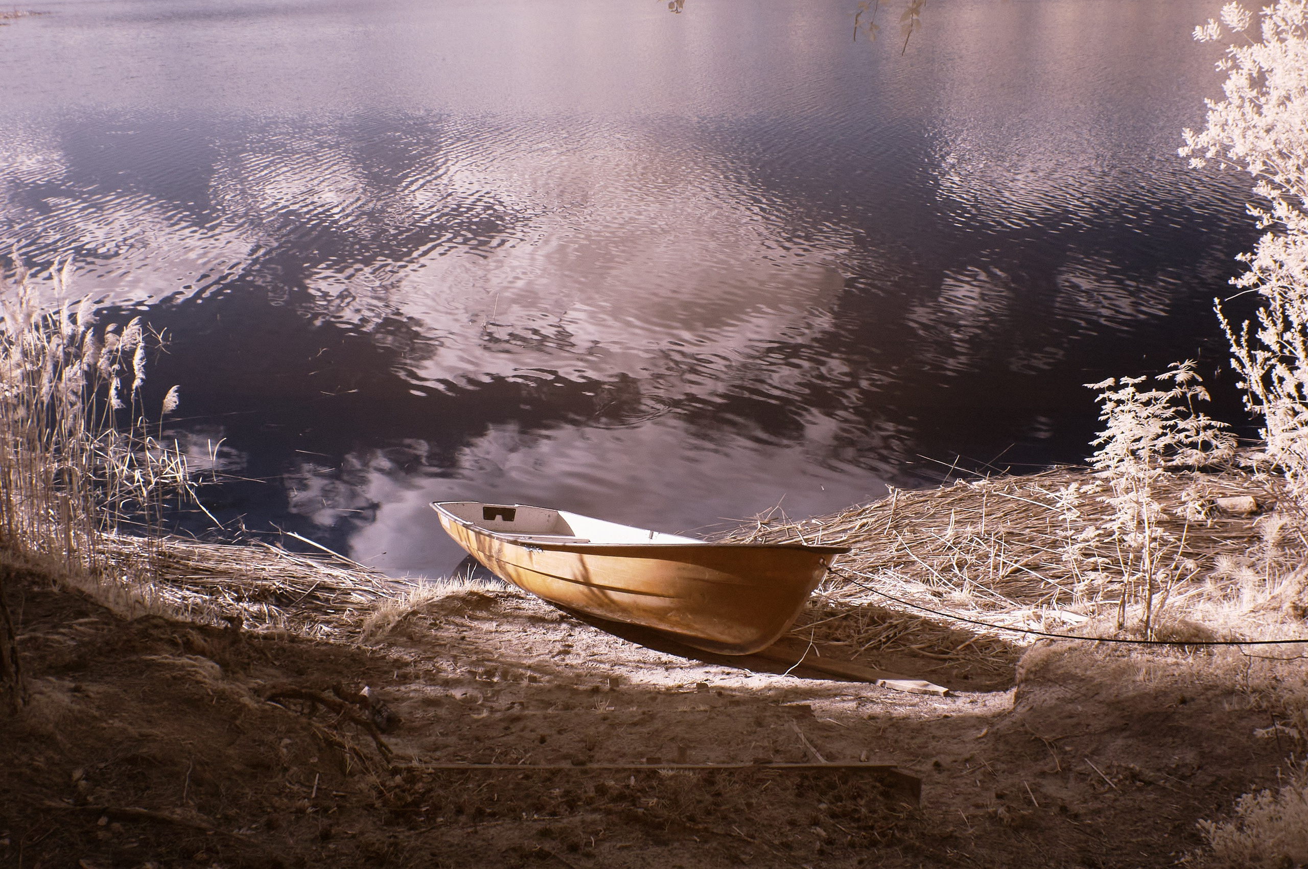 Наследие. Olitron Legacy