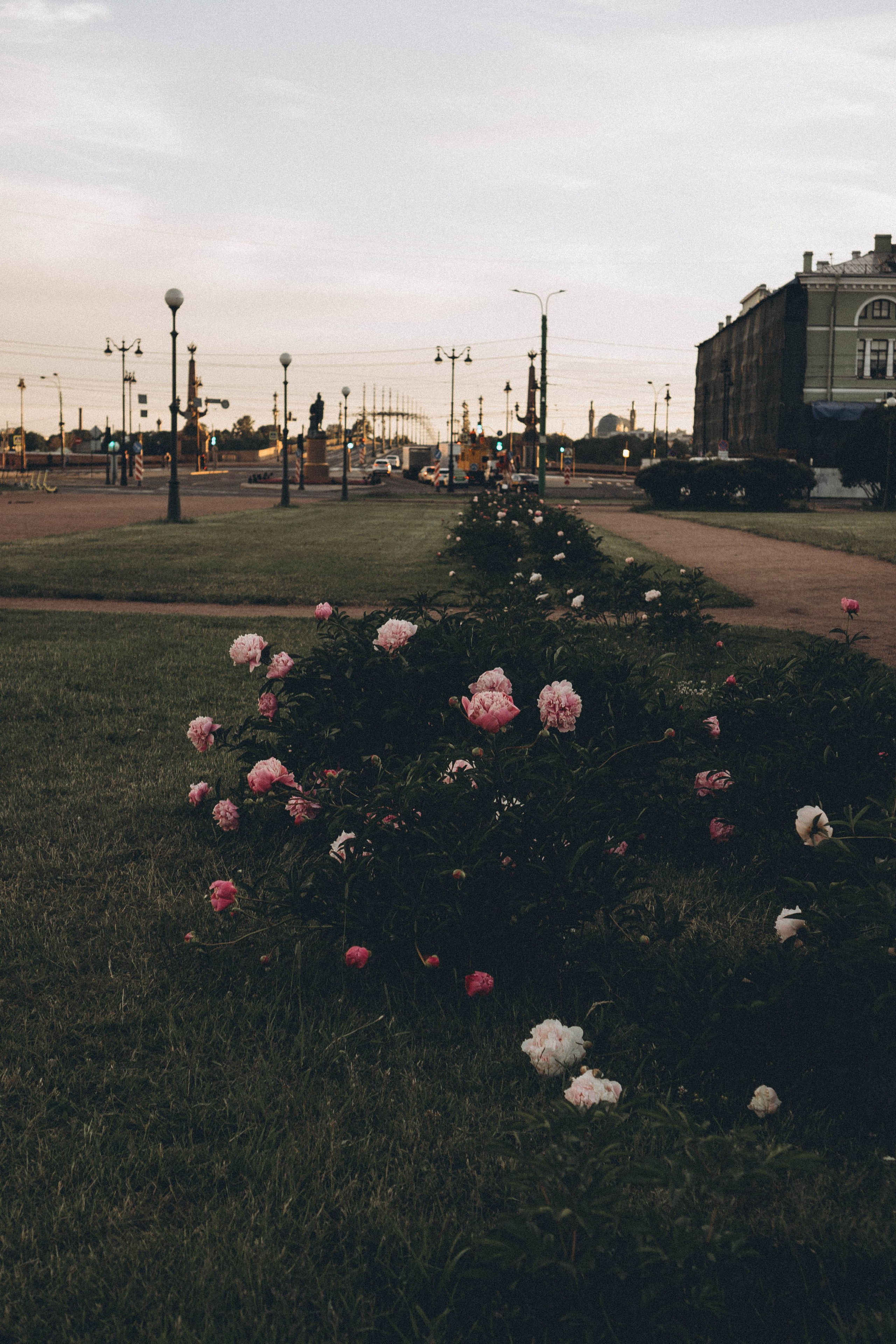 СЧАСТЛИВОЕ УТРО. Профессиональный фотограф, Санкт-Петербург — Виктория Богомолова