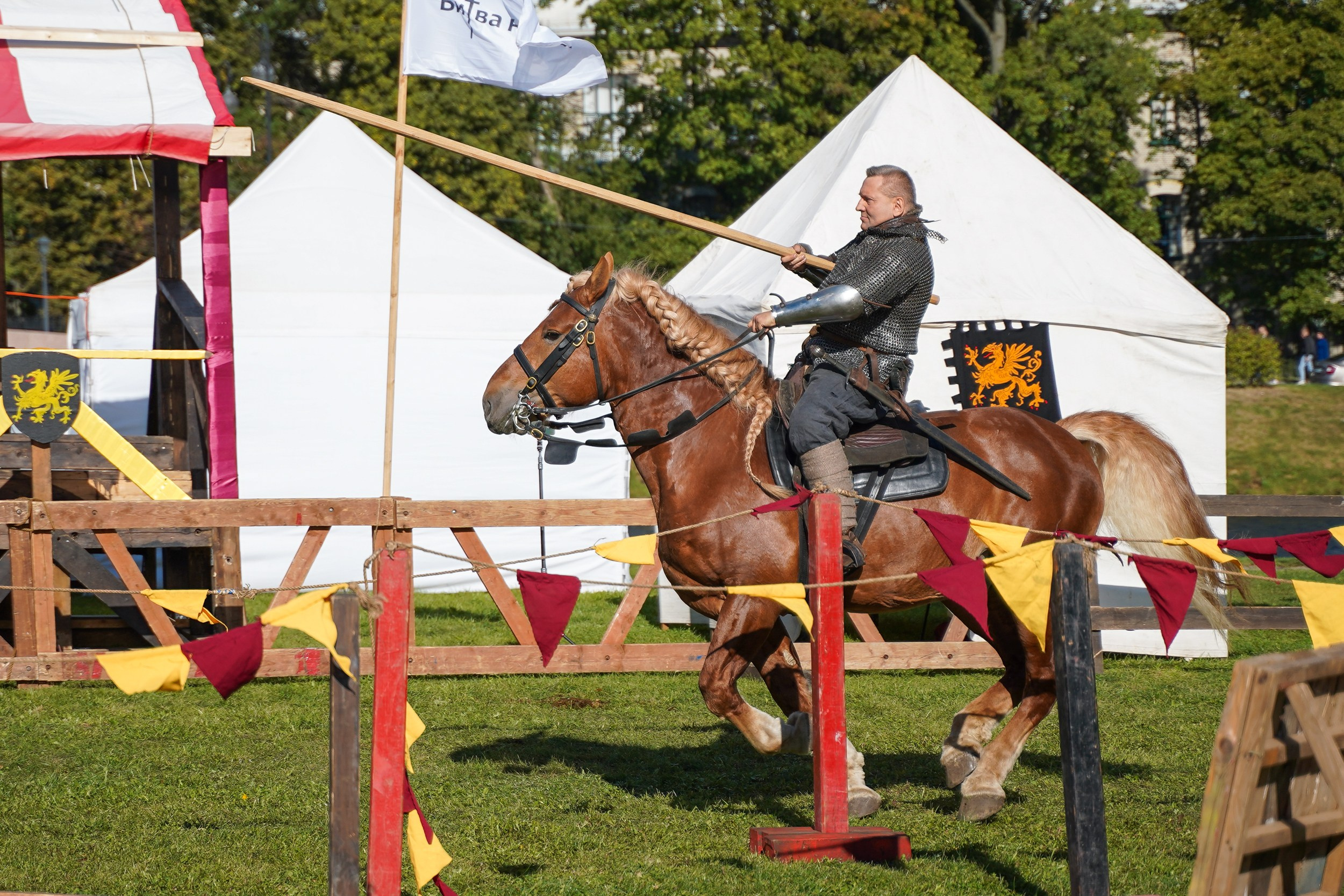 Рыцарский турнир в рамках фестиваля «Битва на Неве» Санкт-Петербург 2024 г. Фотограф-анималист, портретный фотограф в Чебоксарах Мария Садыкова