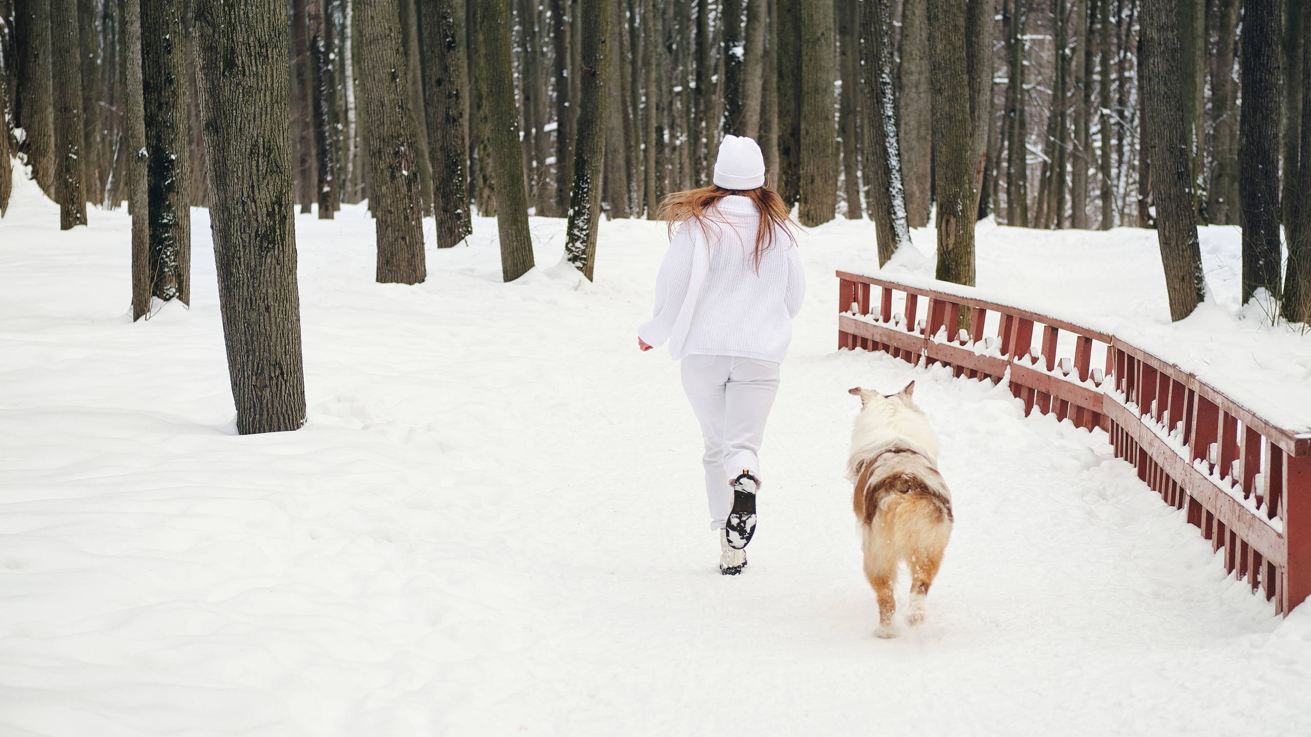 Фотосессия хозяйки с собакой. Профессиональный фотограф в Москве — Максим Дьяконов