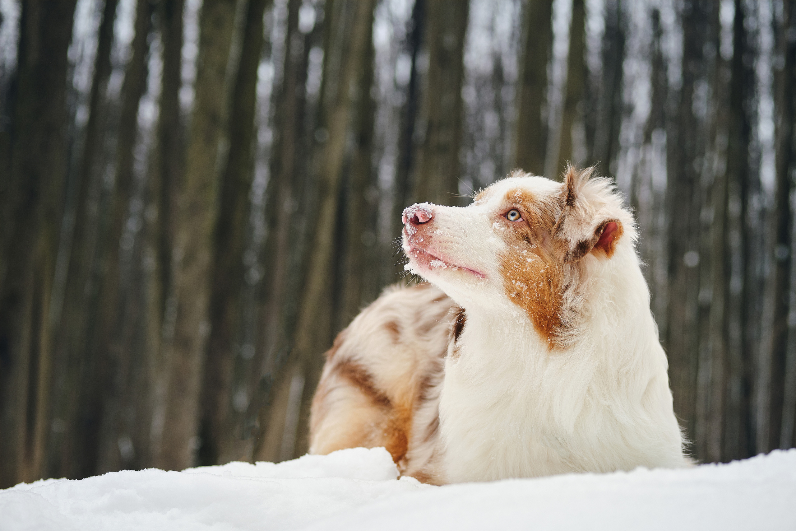 Проведенные фотосъемки в Москве. Профессиональный фотограф в Москве — Максим Дьяконов