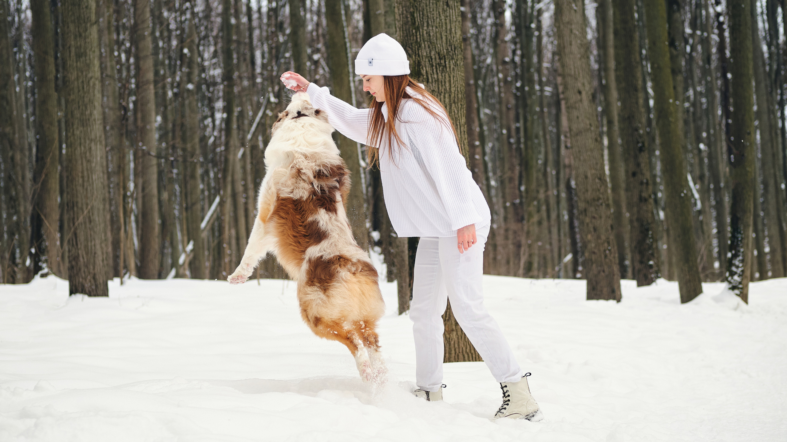 Фотосессия хозяйки с собакой. Профессиональный фотограф в Москве — Максим Дьяконов