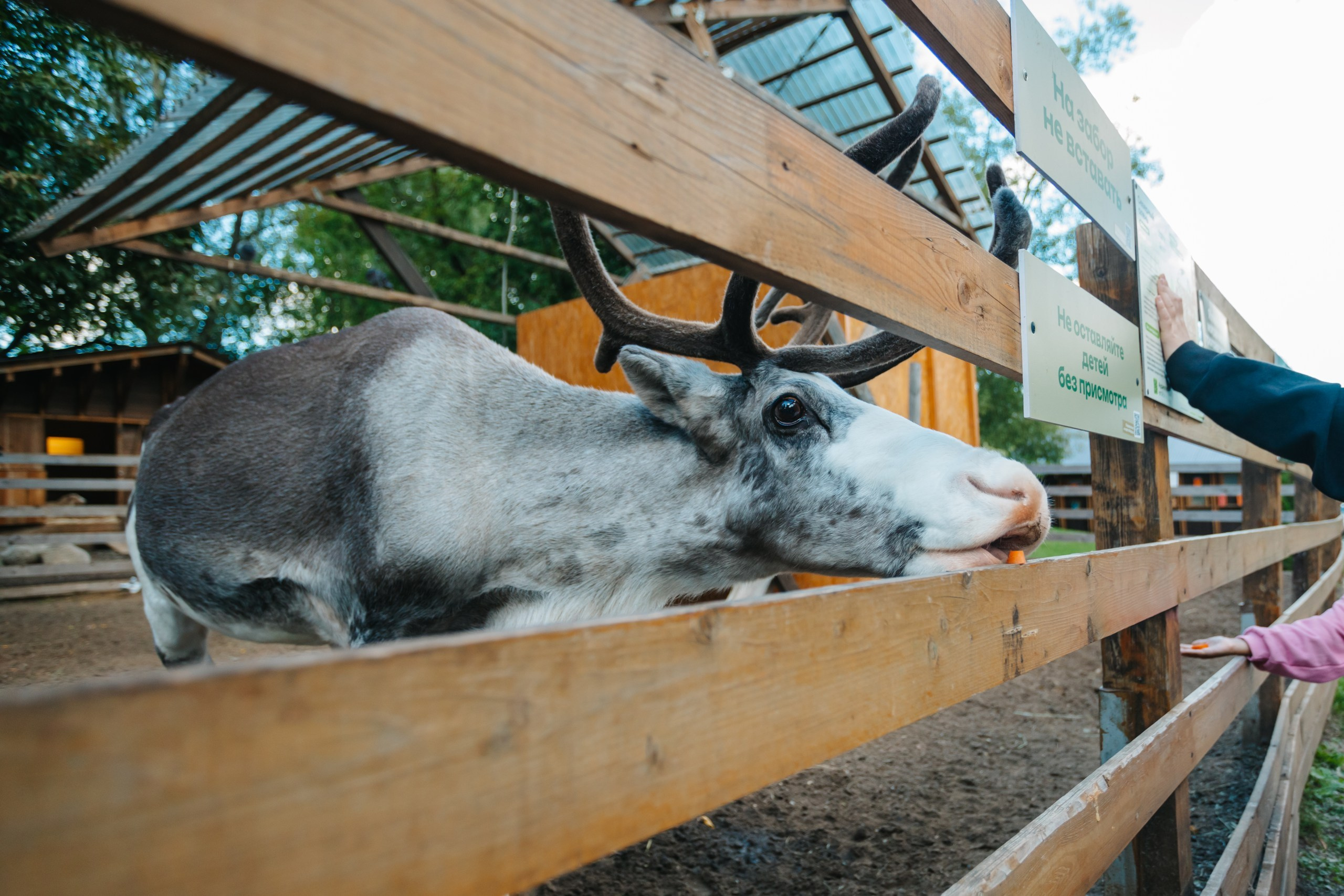 День рождения Марка. Андрей Партнов — фотогрраф, Москва