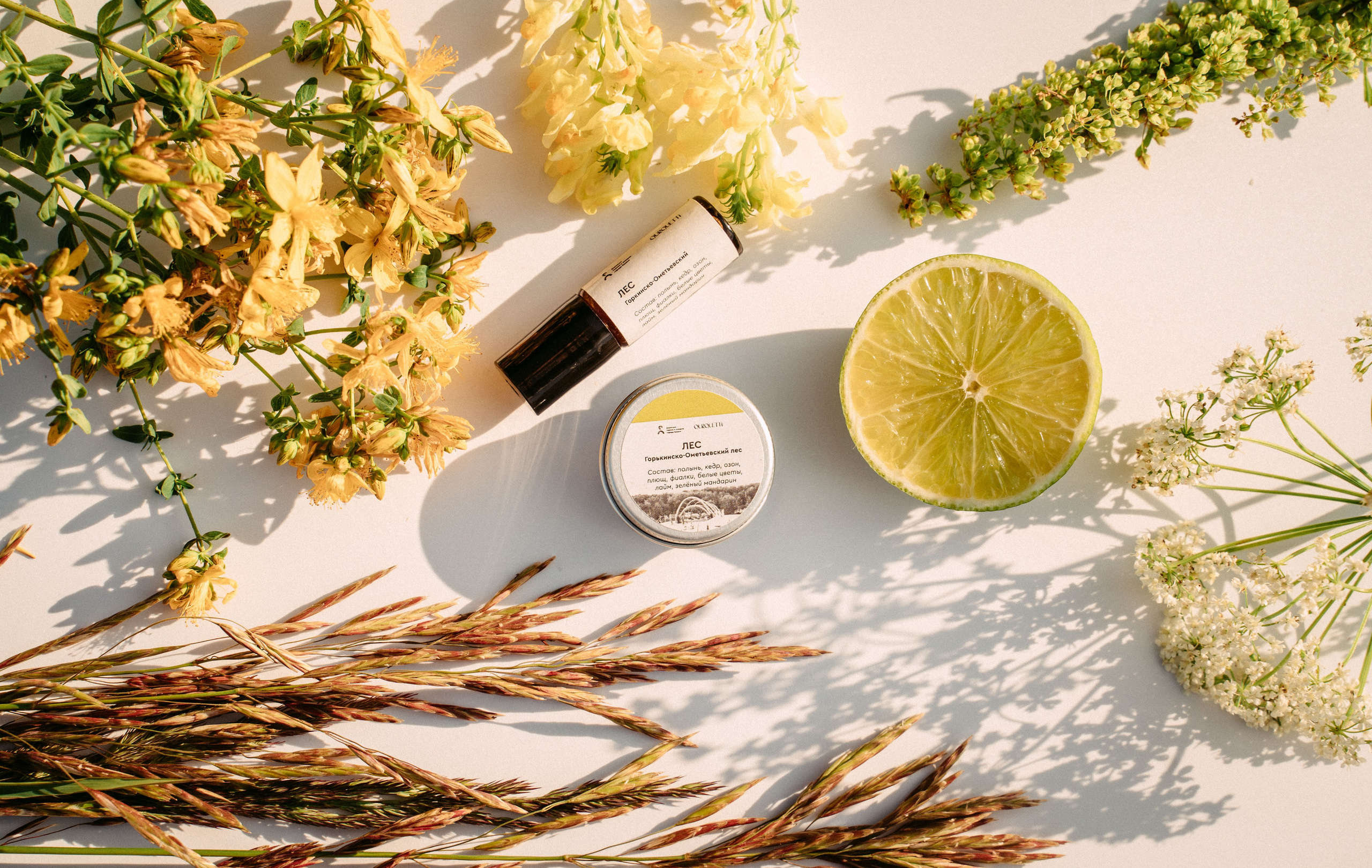 «Парки рядом» / мерч дирекции парков и скверов РТ. Саша Копылов, фотограф в Казани