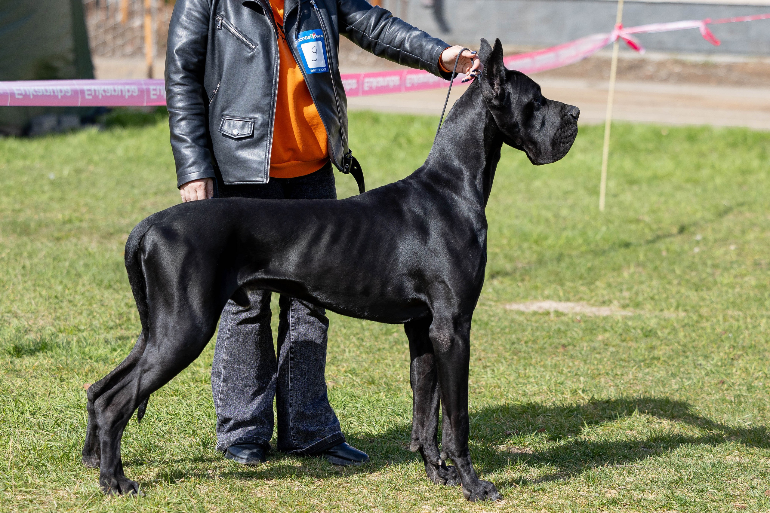 Выставки. Фотограф Анималист в Перми Анастасия Остерман