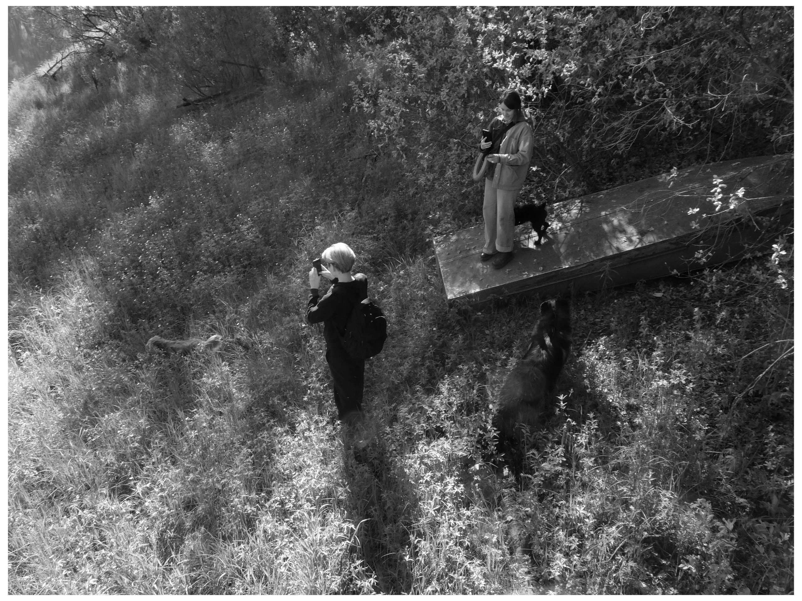 Промежуточные моменты (2022)