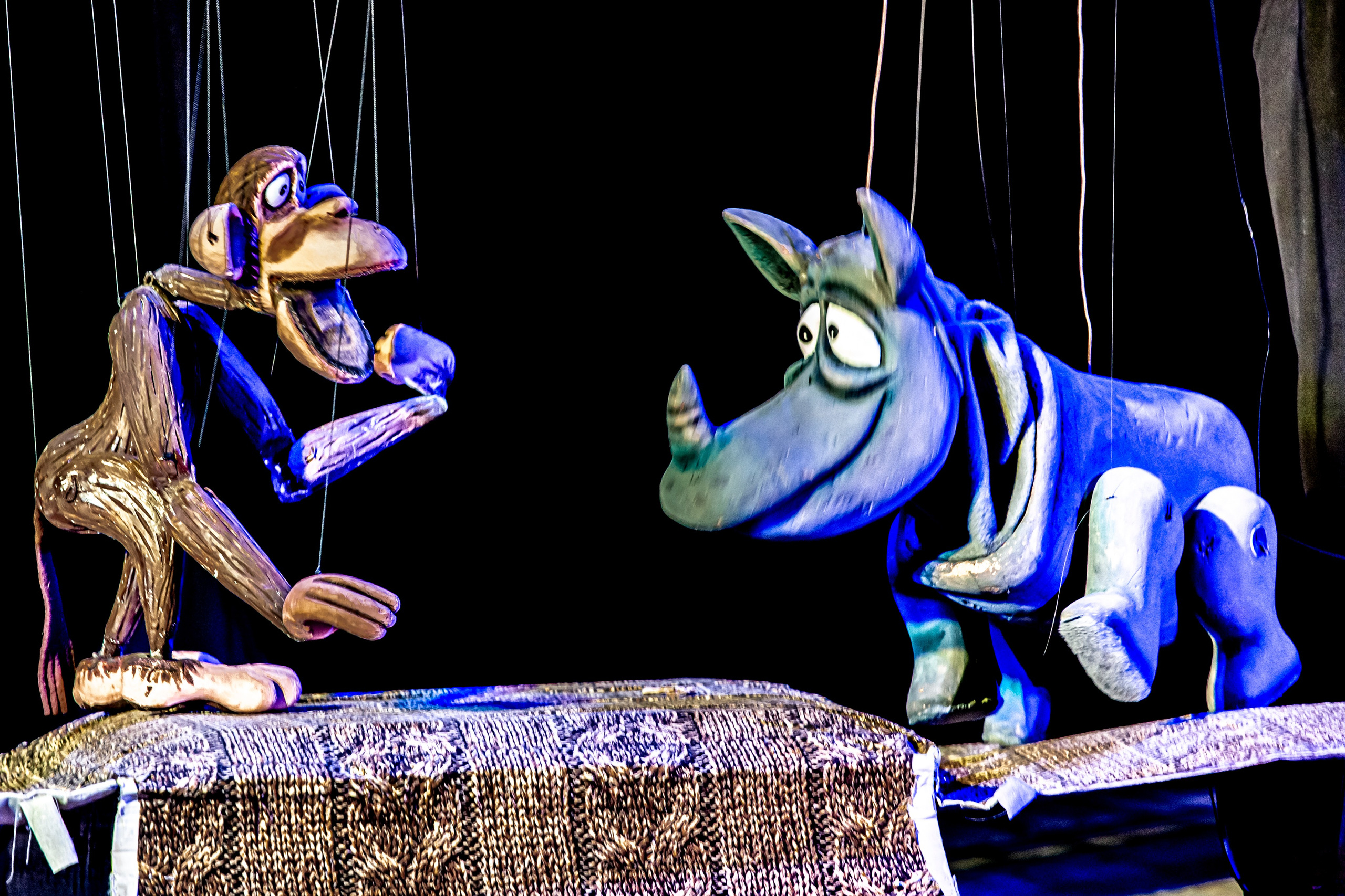 Жирафа и носорог спектакль театра Саквояж. Фотограф в Сочи Юрий Шептаев