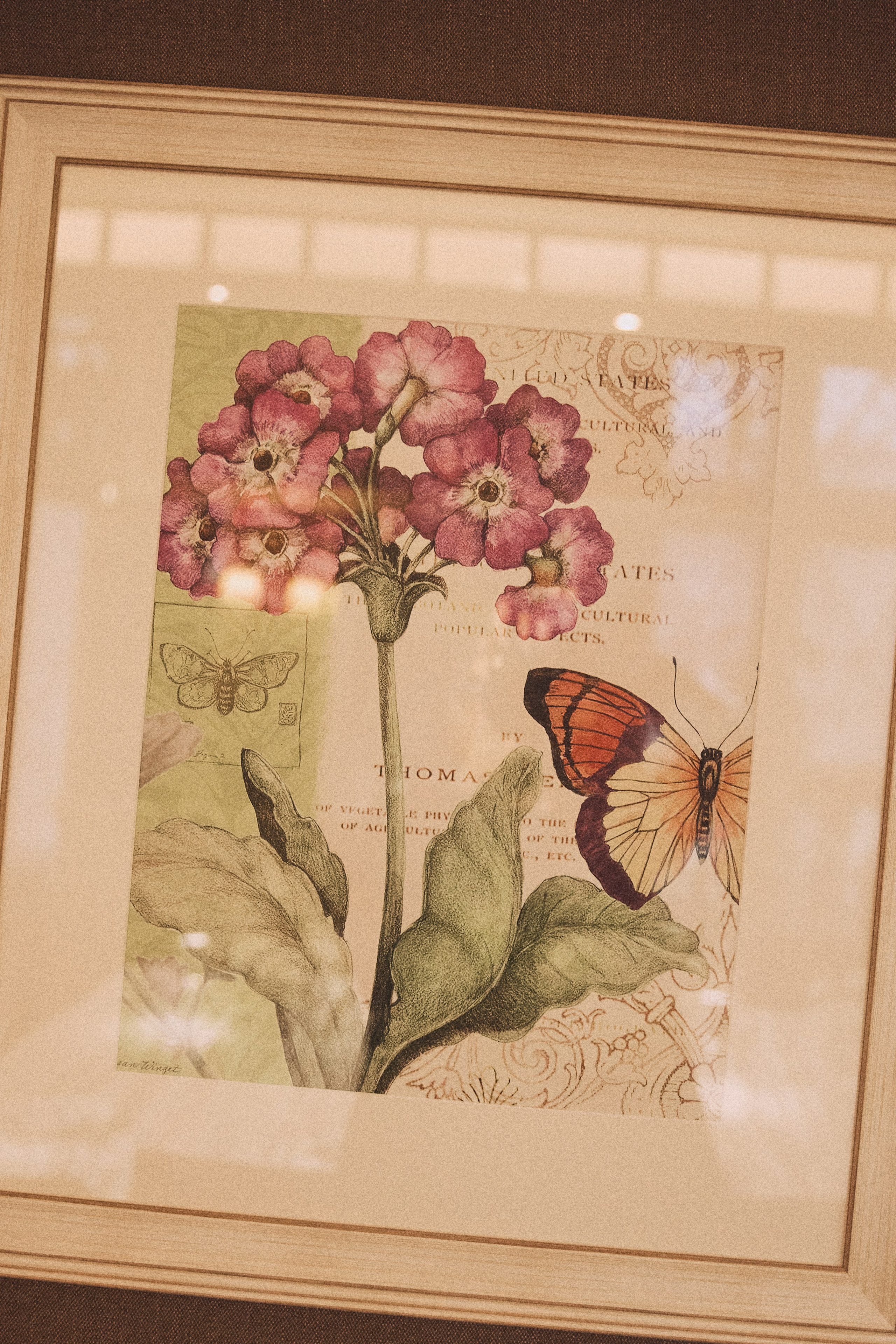 50 YEARS TOGETHER. Дмитрий Мазуркевич: Профессиональный Репортажный Фотограф