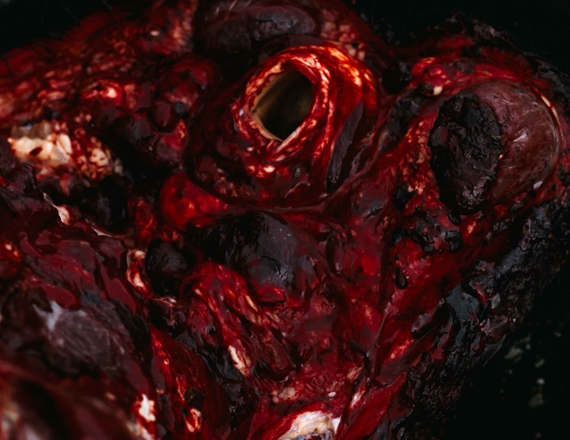 Dagestan. Seasons. Autumn. Documentary and art photographer Alexey Terentyev