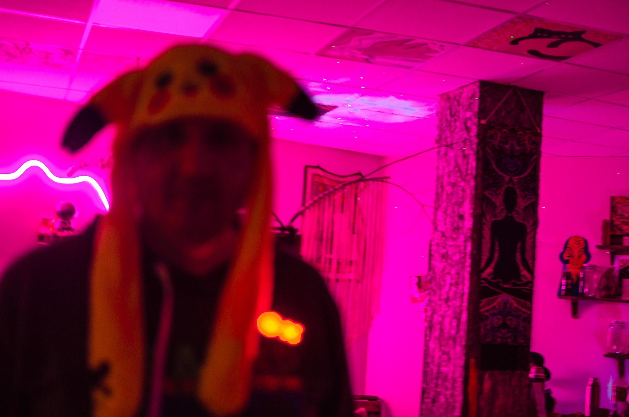 | АРТ-ДЖЕМ МАСКАРАД 29.12.24 |. Фотограф Ольга Дзюба. Фототерапия как зеркало души. КМВ