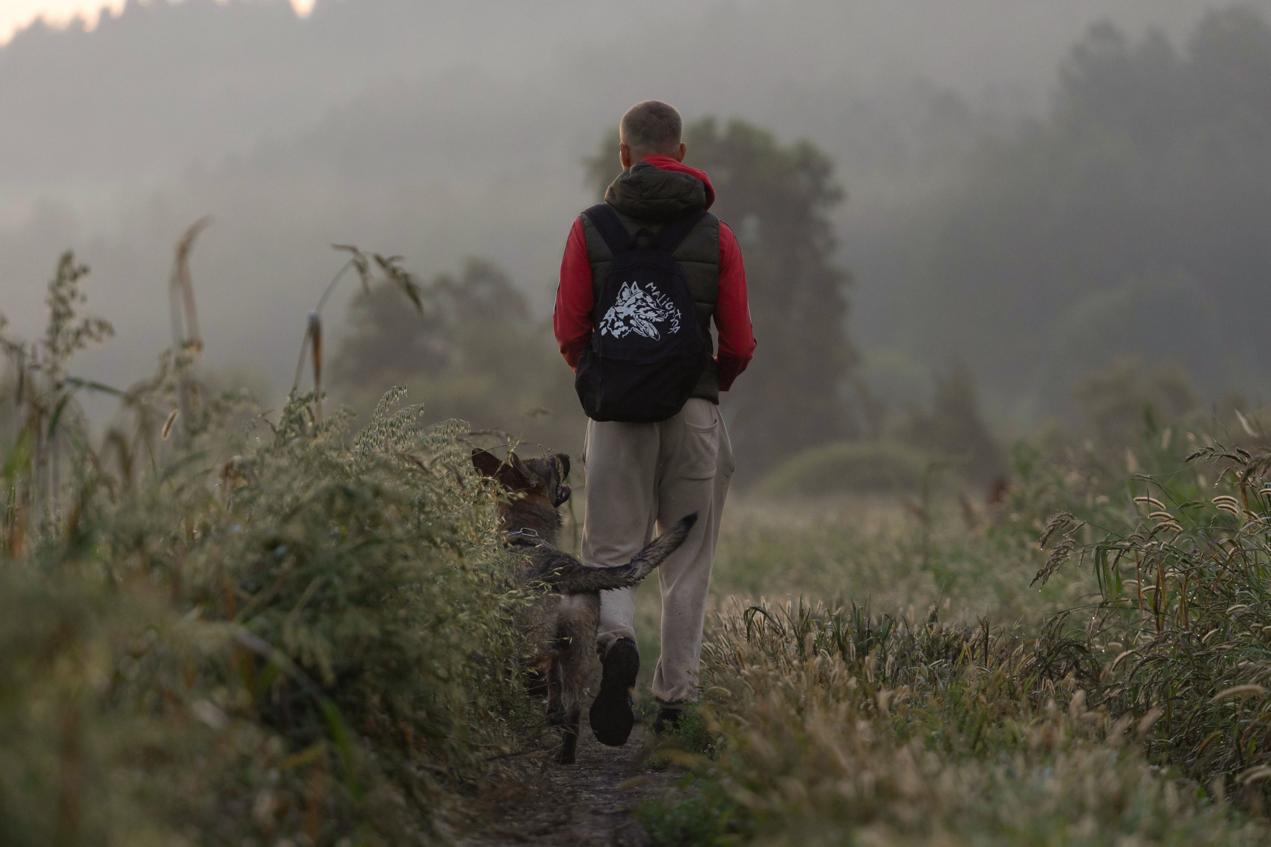Собаки. Фотограф-анималист|Иркутск