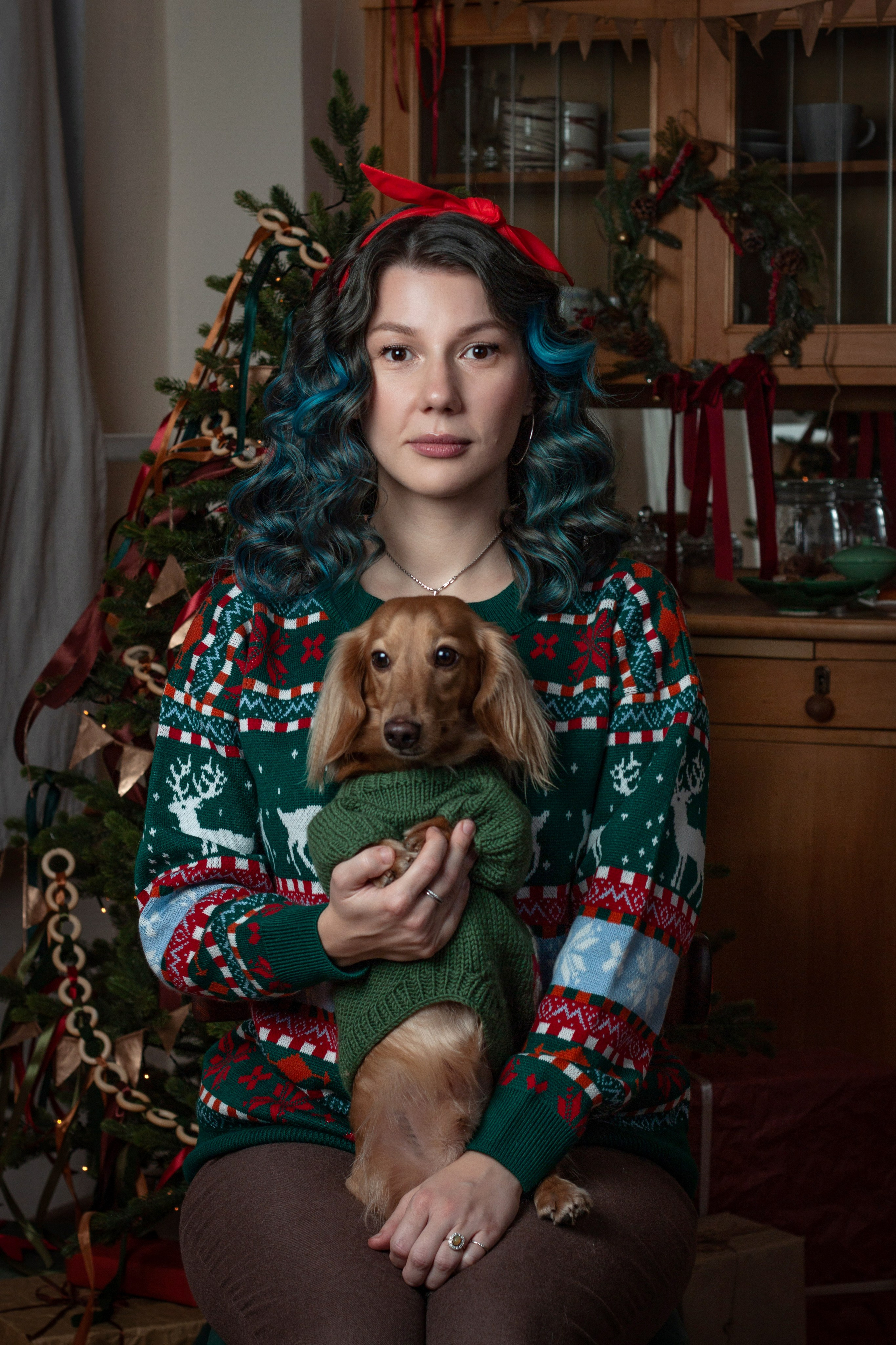 Новогодние собаки. Фотограф в Санкт-Петербурге Рейдер Дарья