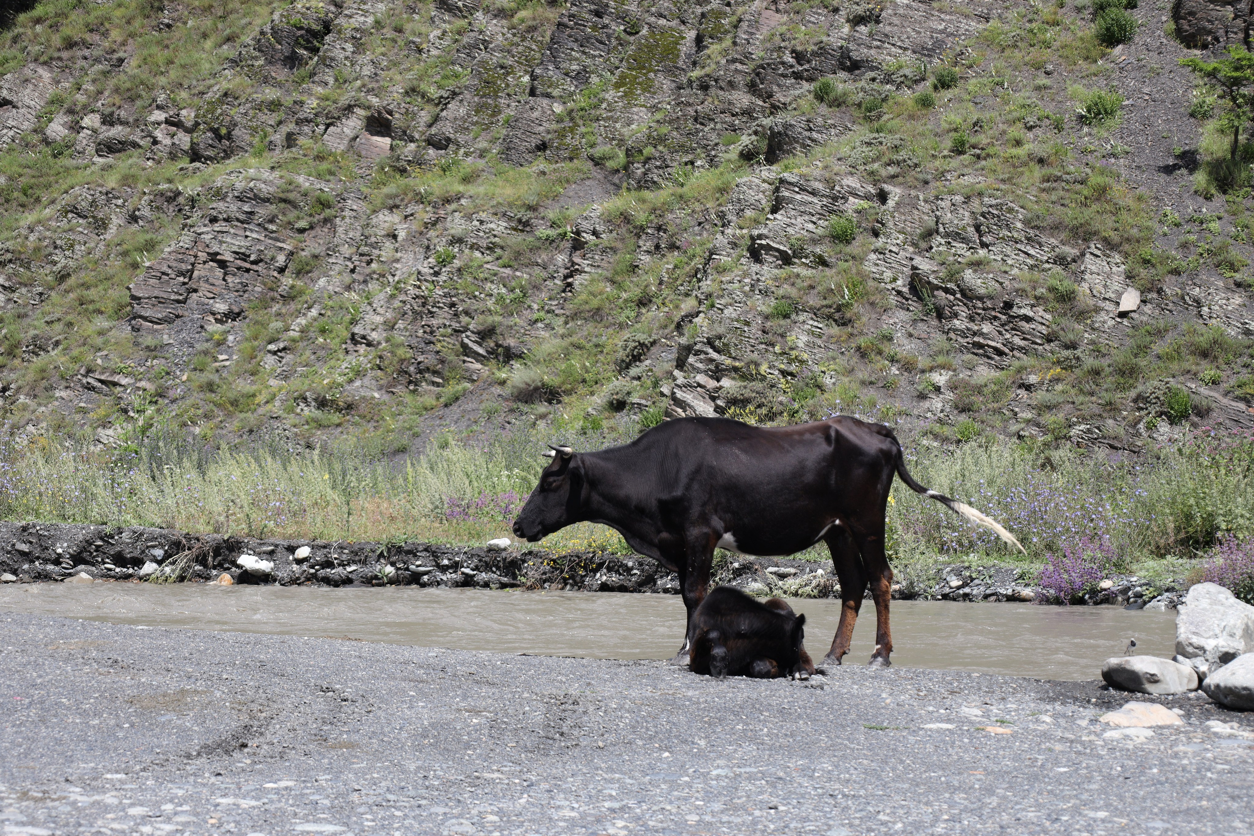 Северная Осетия июль 2025 год. Кармадон, Даргивз и Цей. Семейный детский фотограф Краснодарский край Оксана Колос