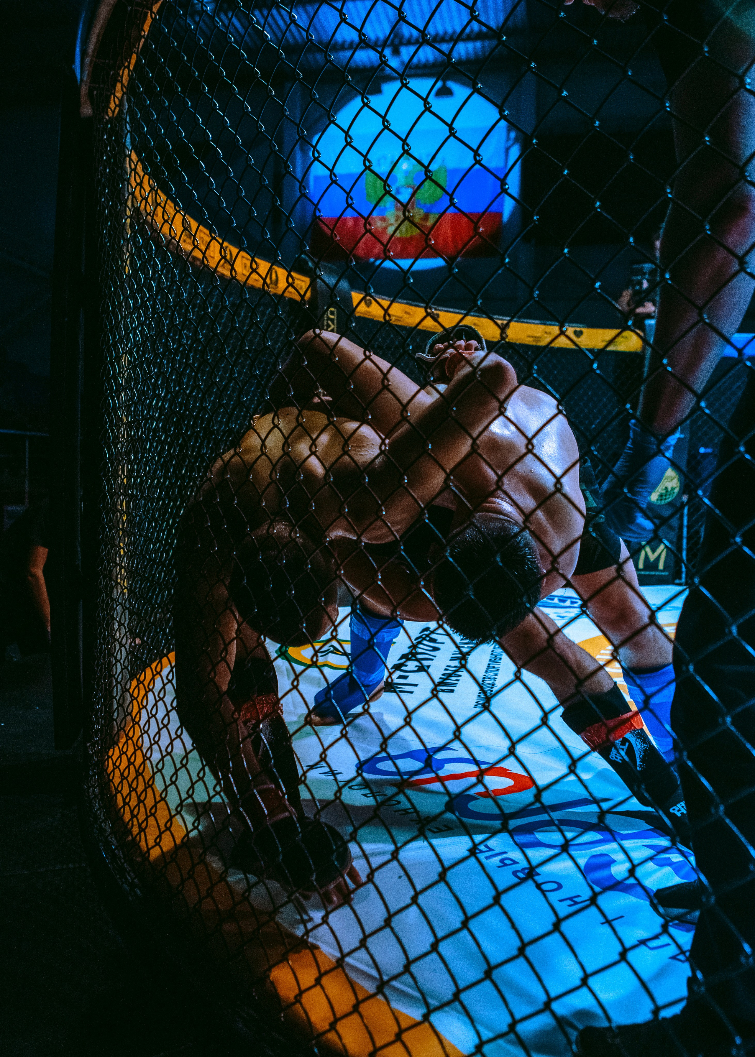 SFL 17 | Siberian Fighting League. Портретный фотограф в Москве Дарья Цезария