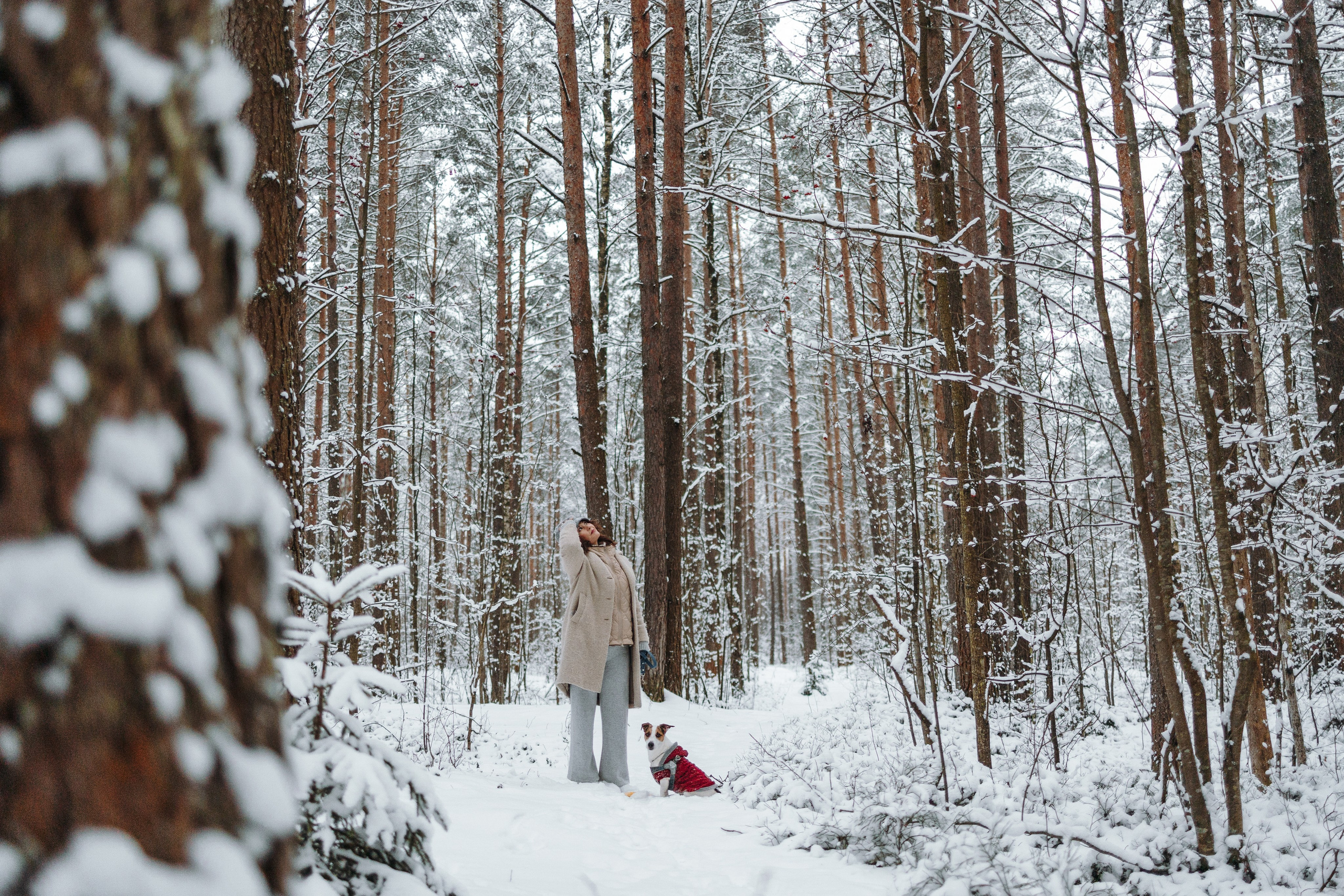 Наталья и Микки. Фотограф — Анималист | Санкт-Петербург