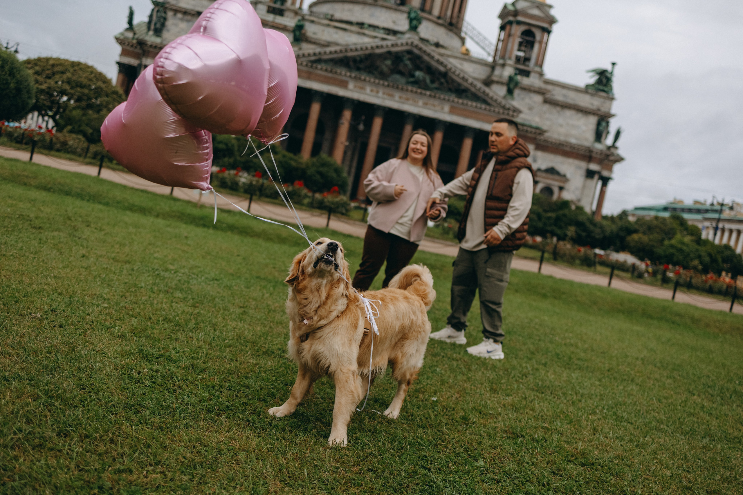 Бетти и ее семья. Фотограф — Анималист | Санкт-Петербург