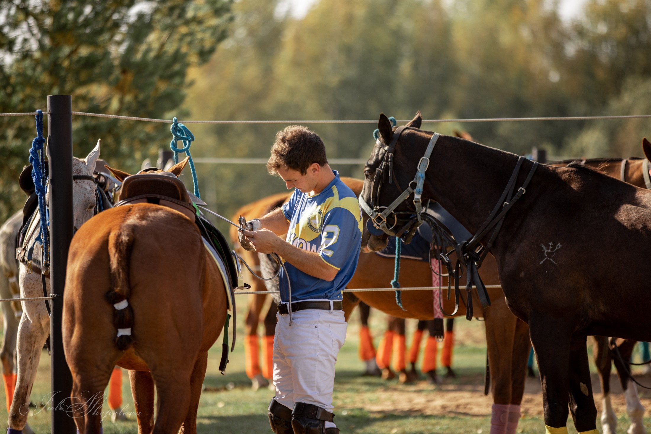 Осенний кубок по конному поло. Детская Конная фотография в Москве Юлия Шепелева