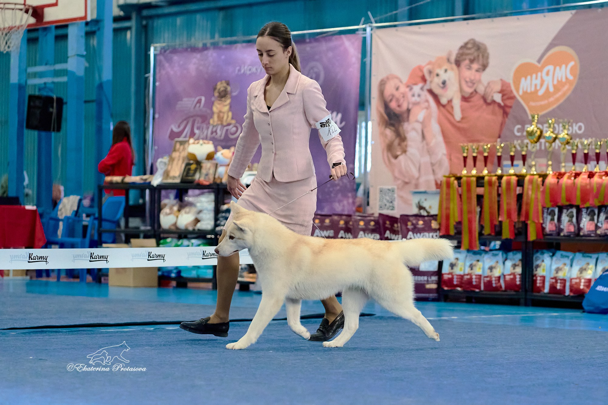 Выставки разное. Фотограф-анималист в Иркутске