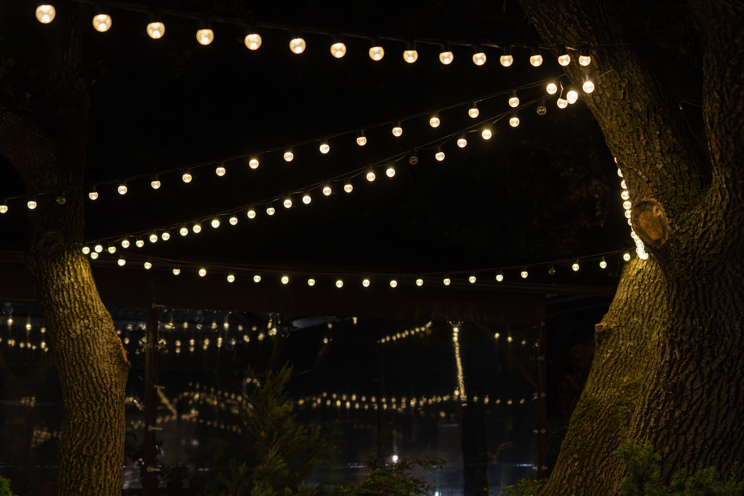 Литературная мастерская с Ольгой Шутовой в «Винотеррии». Репортажный фотограф в Красной Поляне и Сочи Павлюченко Екатерина