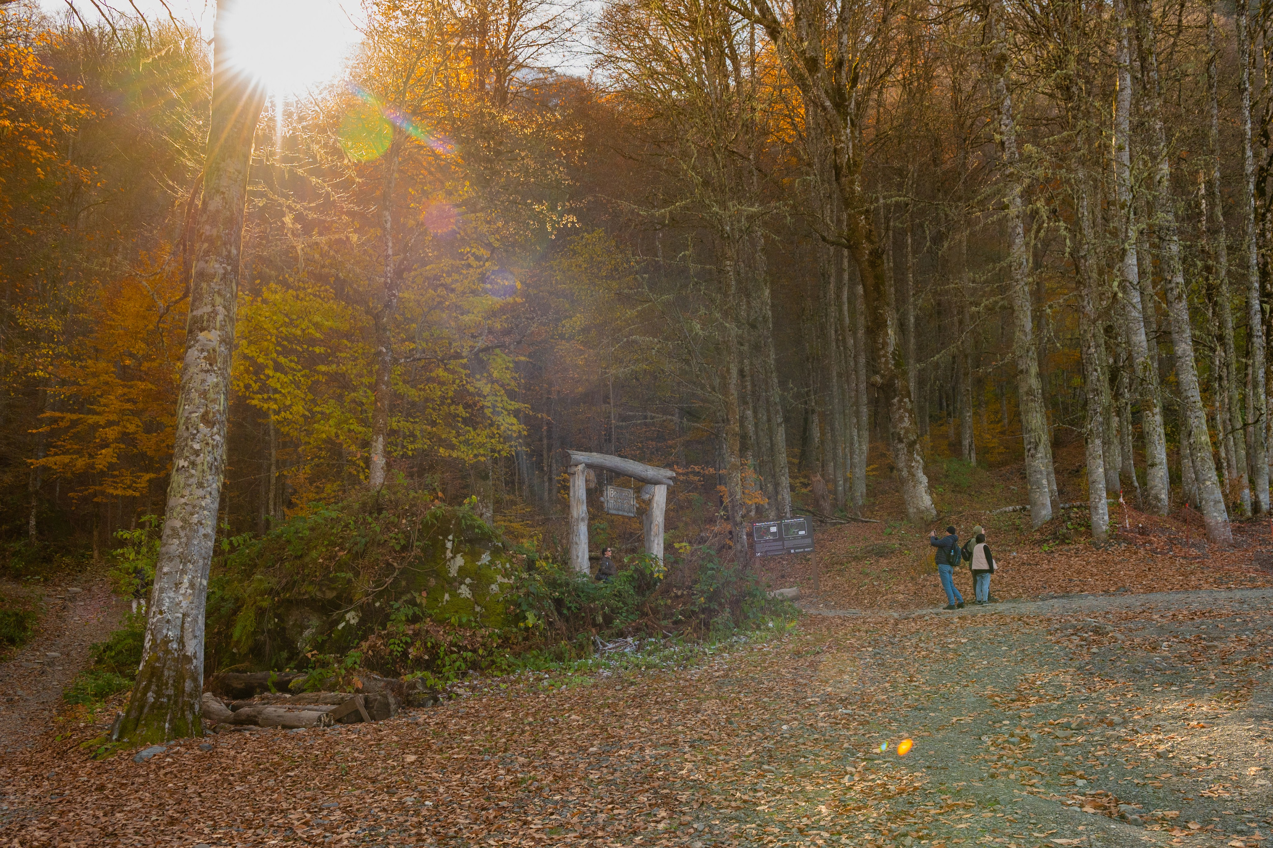 Mice мероприятие — прогулка на водопад Поликаря на курорте Красная Поляна. Репортажный фотограф в Красной Поляне и Сочи Павлюченко Екатерина
