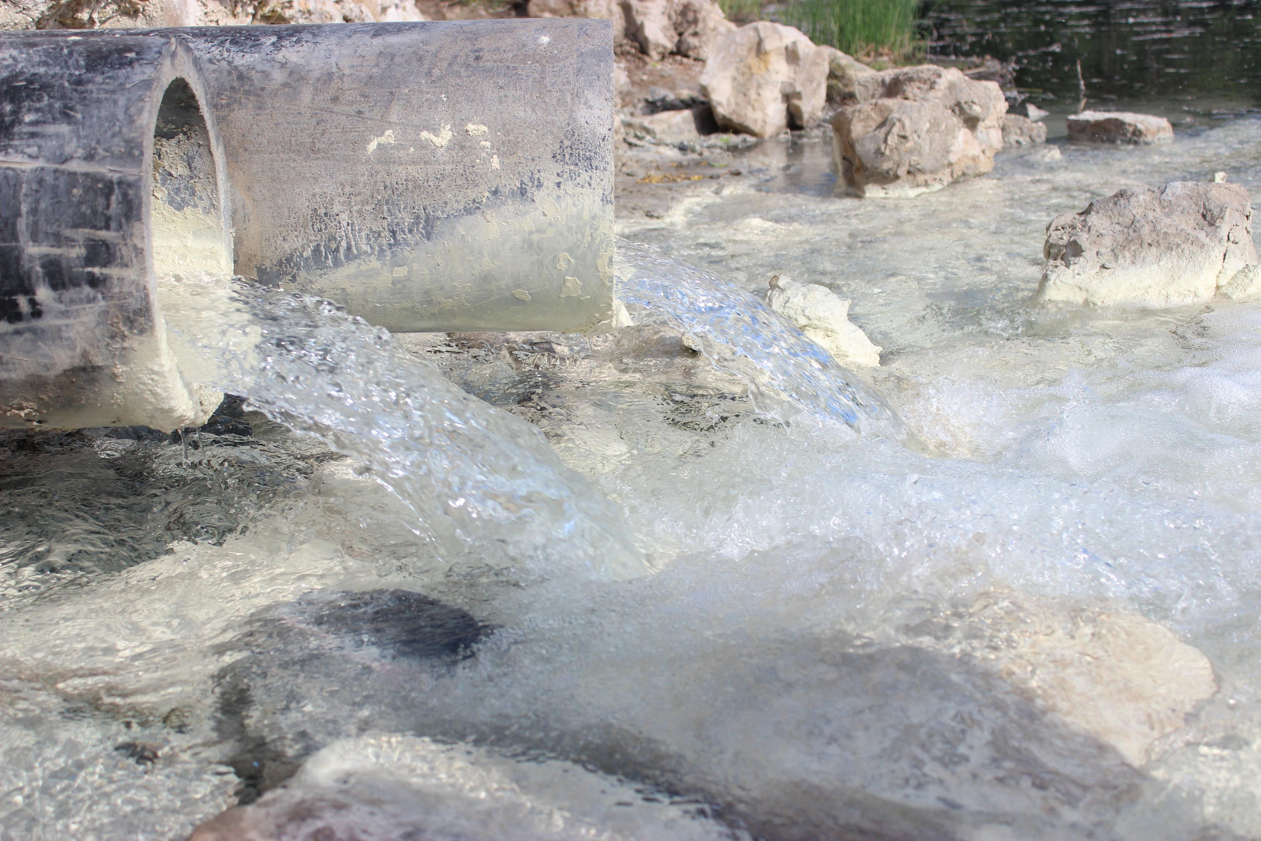 Природа, животные. Фотограф в Сергиевске Григорян Ханум