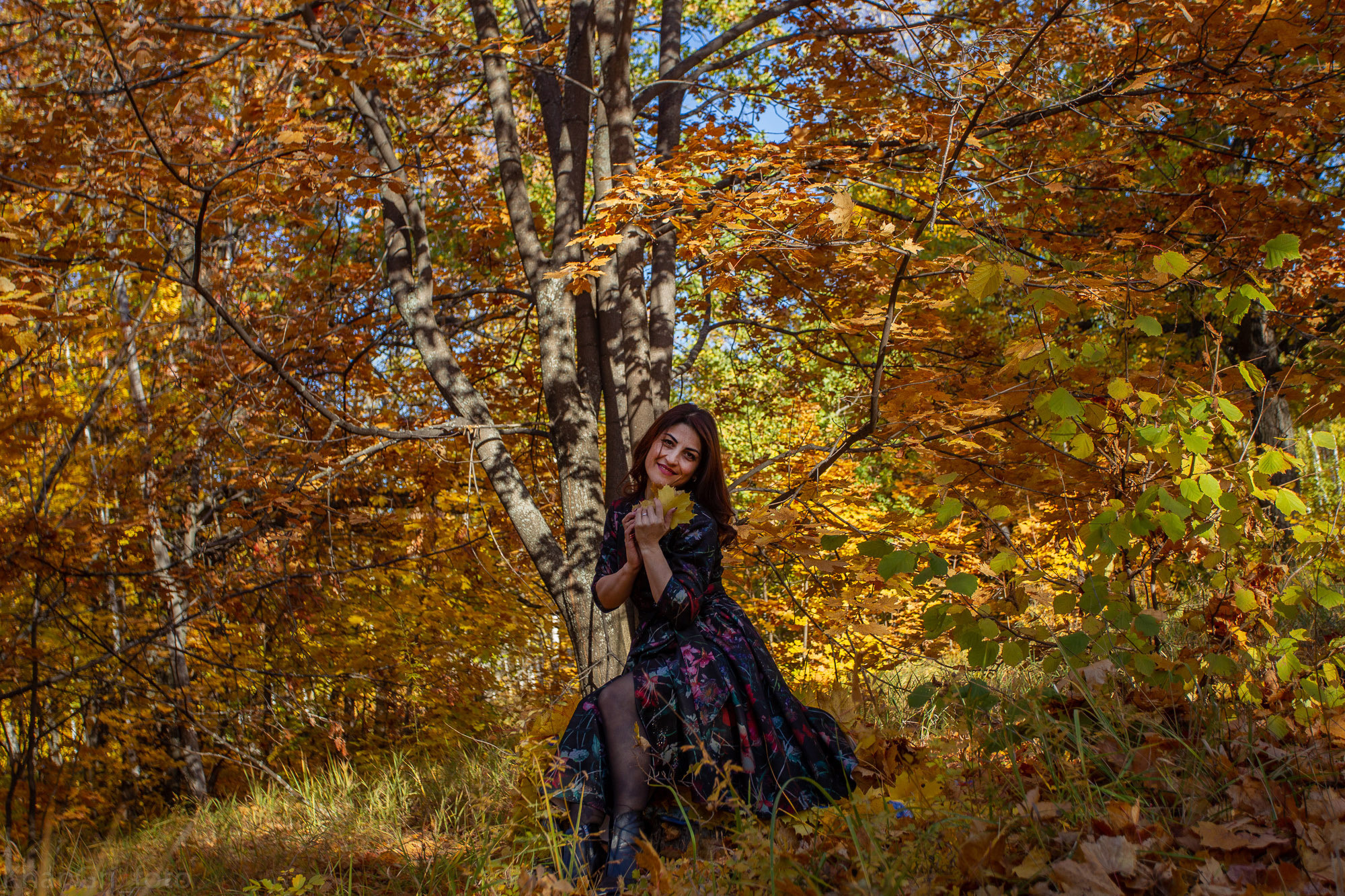 Мои фотографии. Фотограф в Сергиевске Григорян Ханум