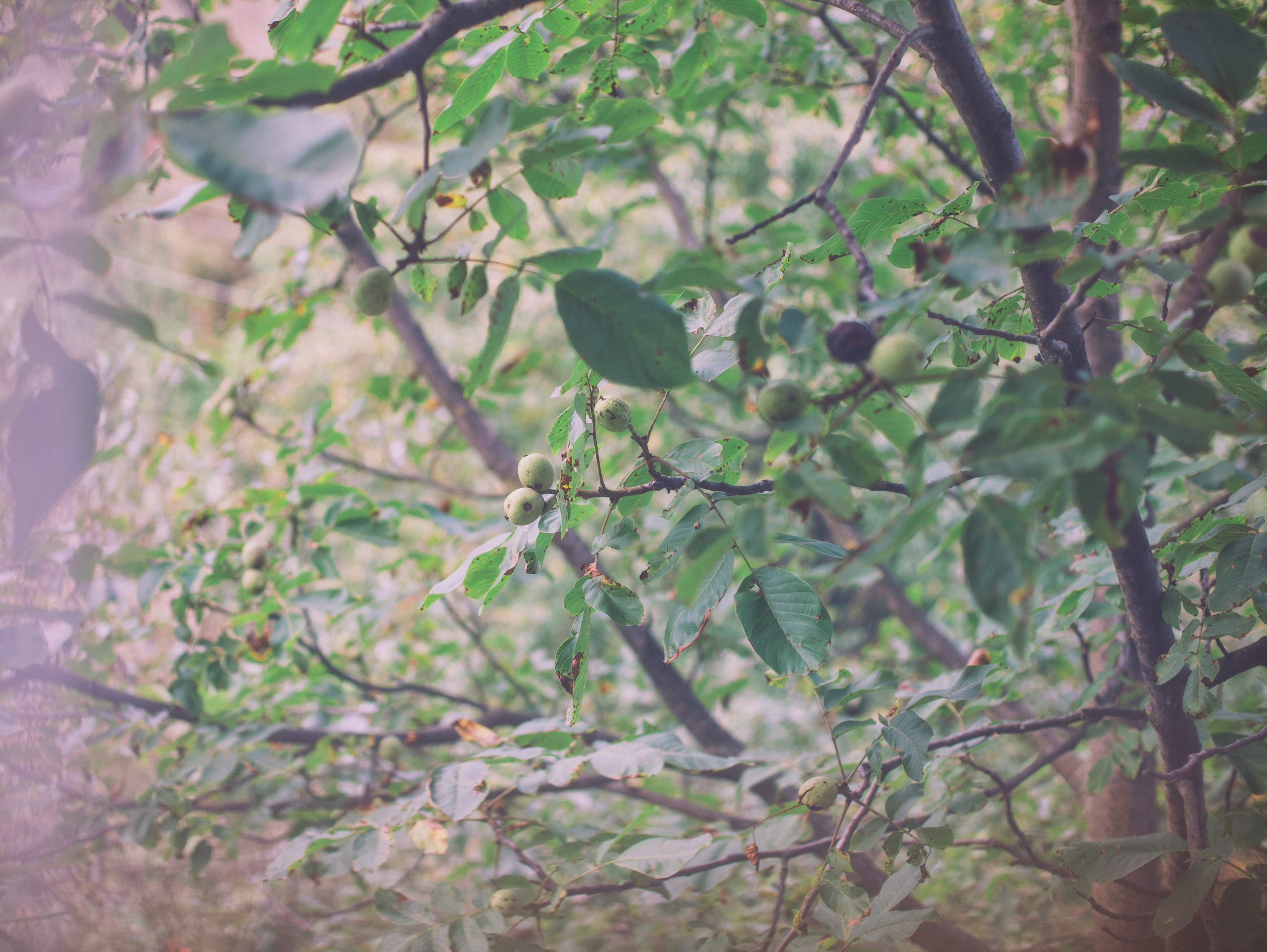 Бутик-отель Durr32. Фотограф в Армении Женя Гилевич