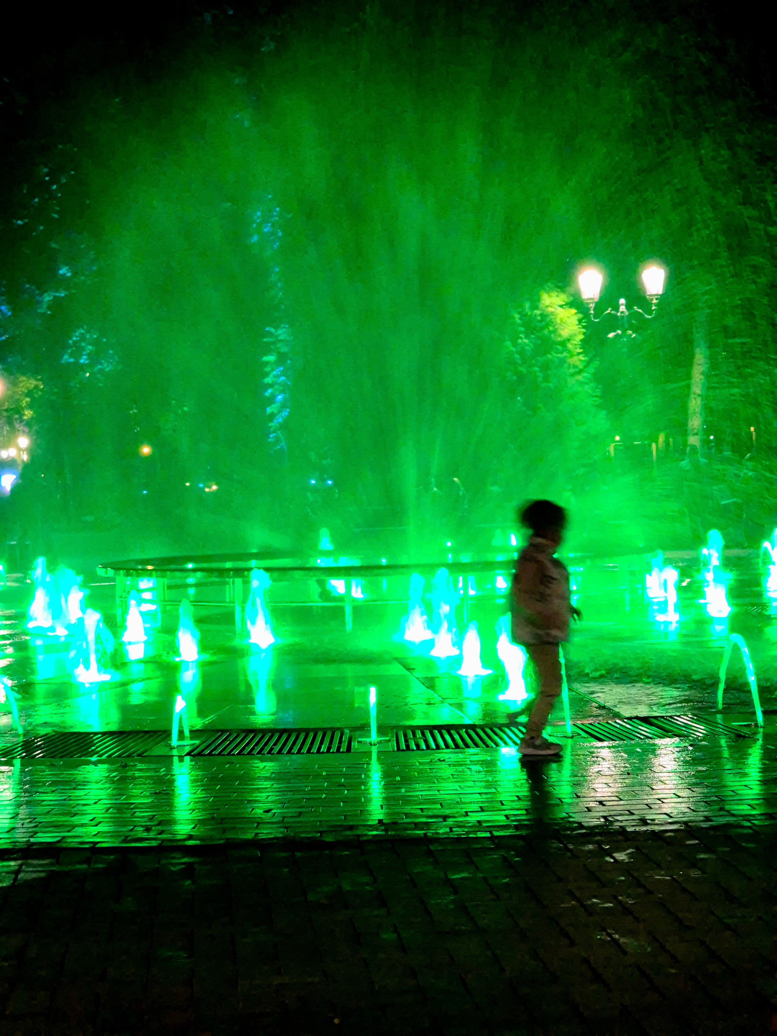 Поющие фонтаны в саду Блонье