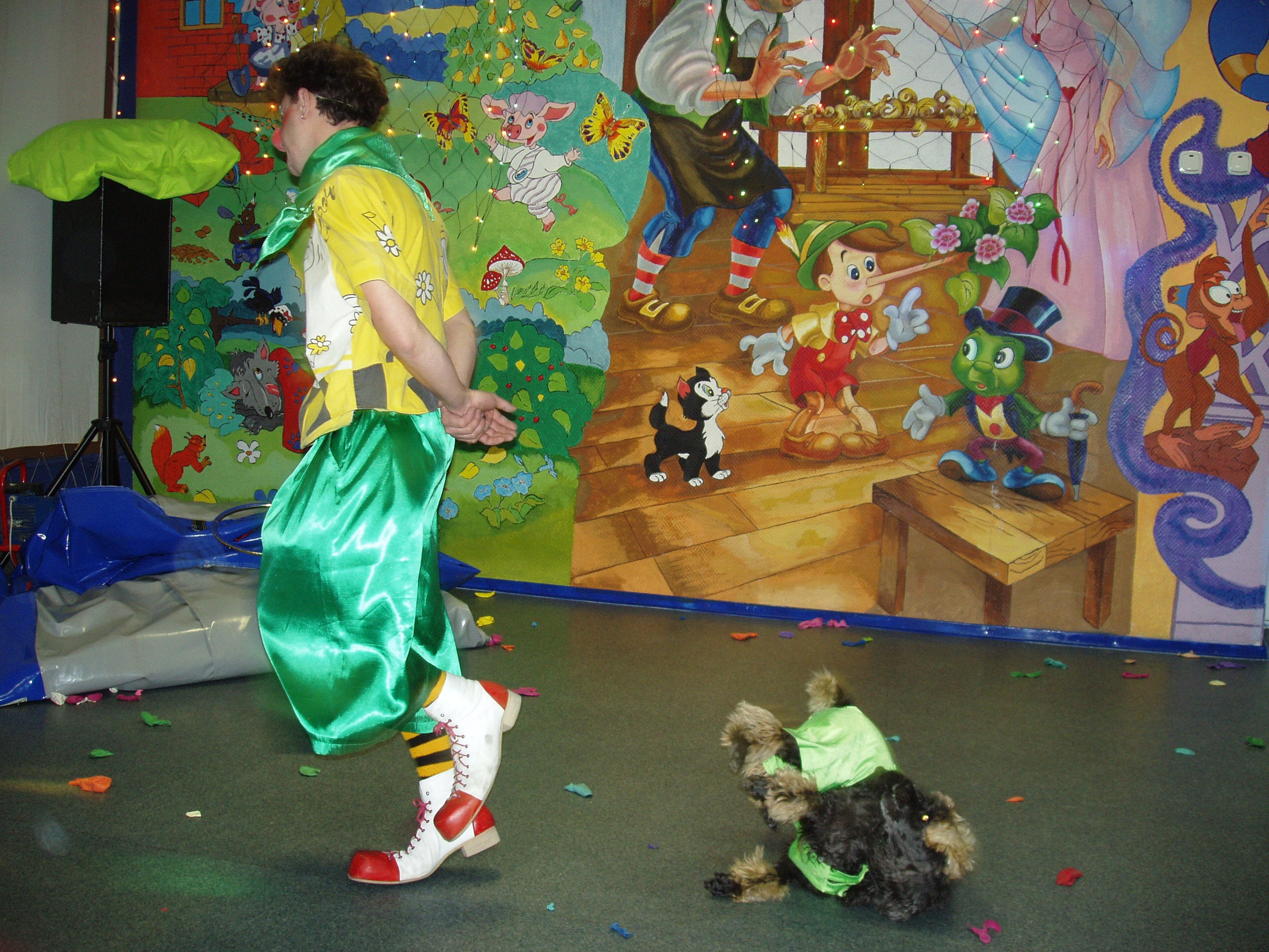 Катя ДР 11 лет Василек 30.11.2010. Семейный, Свадебный фотограф СПБ Питер— Романова Екатерина