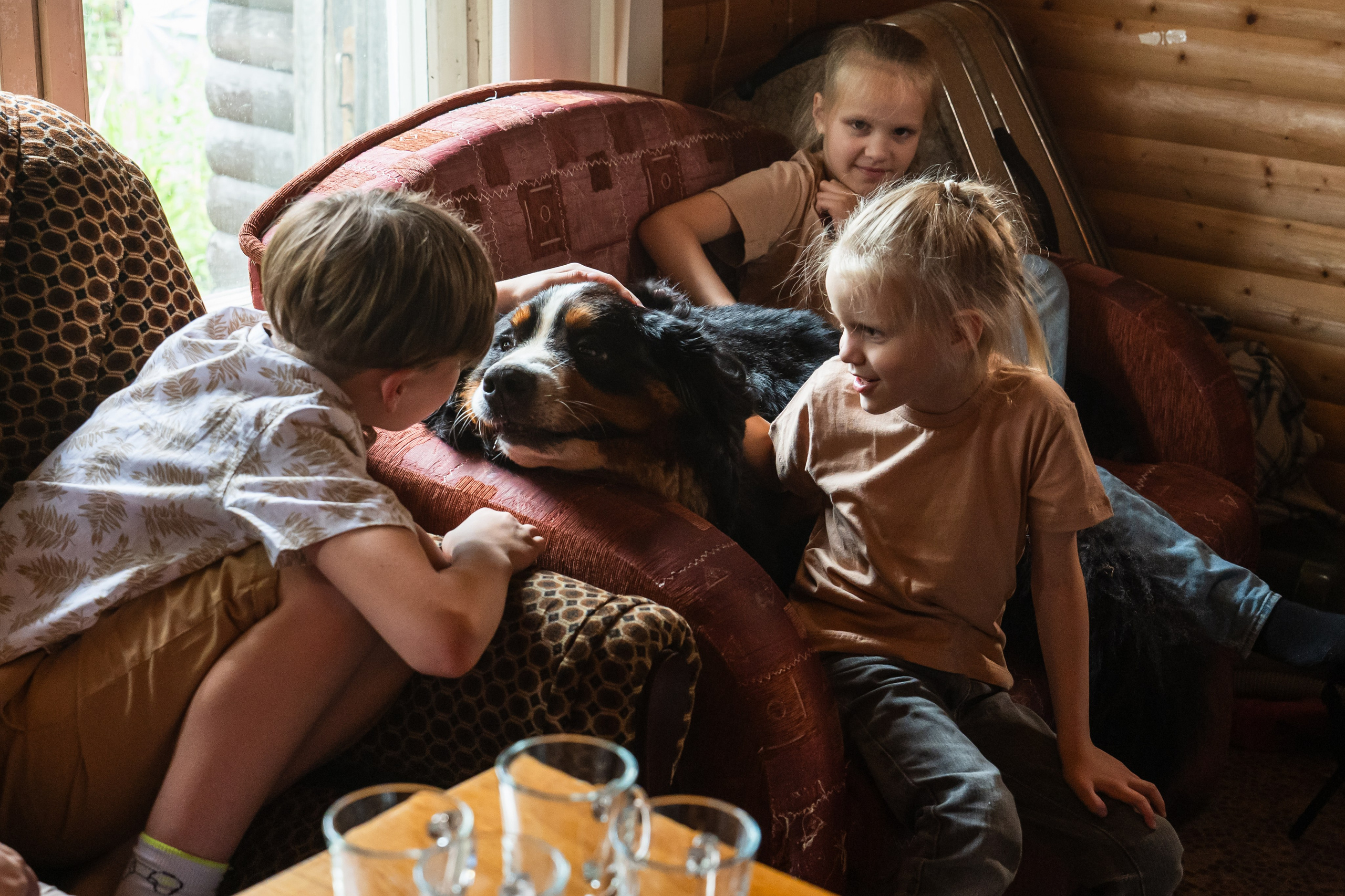 Семейная фотосессия дома, фотосессия с питомцем, собакой