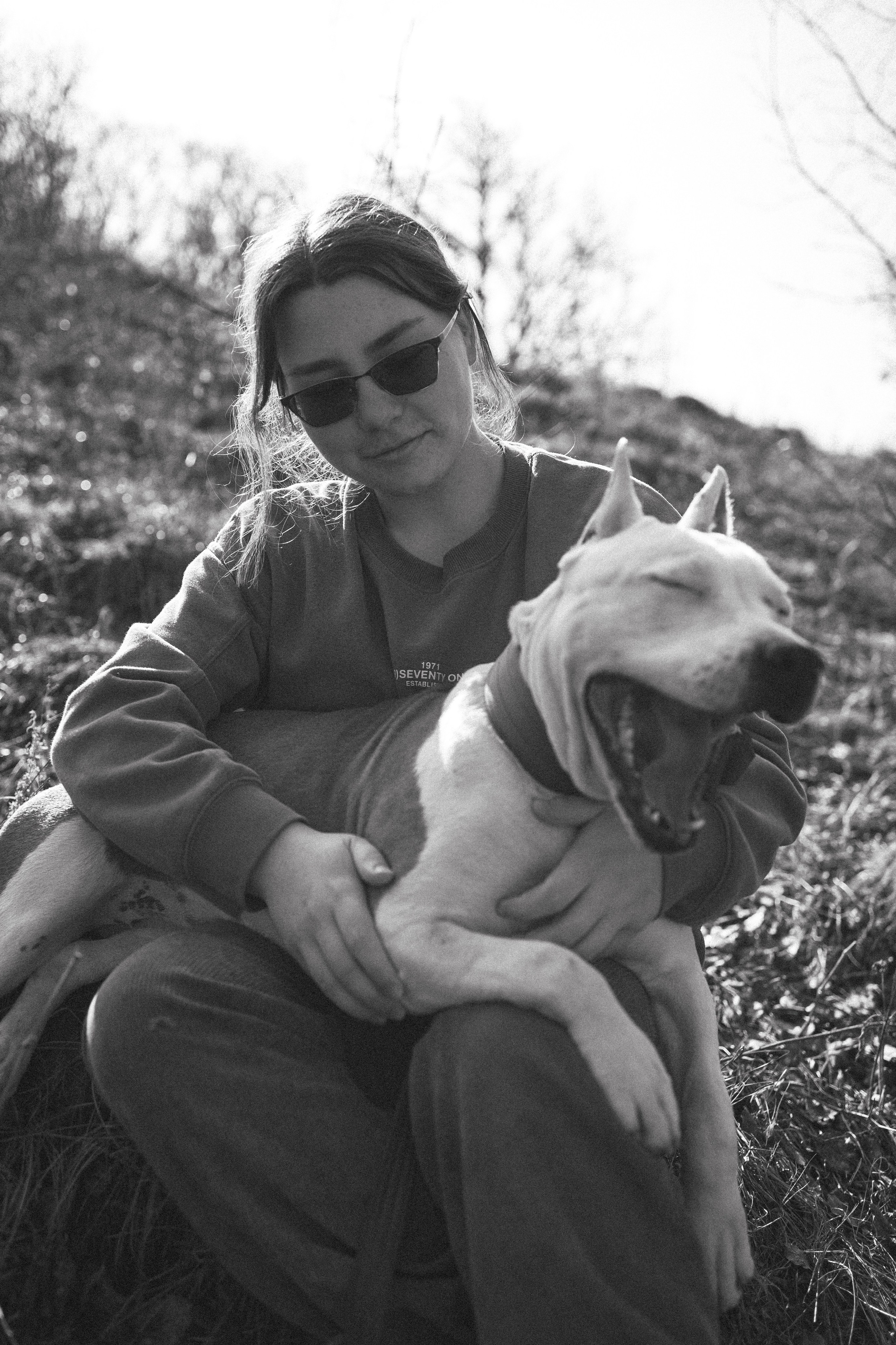 Лера, Ума и Винни. Фотограф — анималист Светлана Кысса|фотограф собак в Краснодаре и Нижнем Новгороде