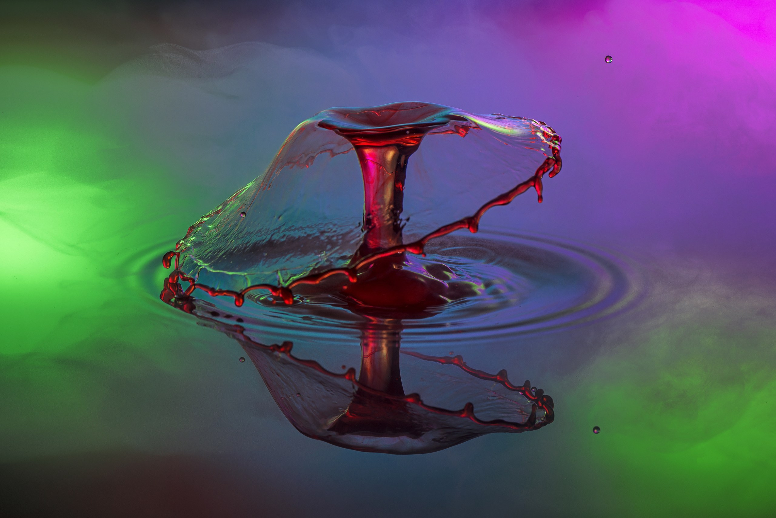 Классические формы. Скульптуры из воды Сергея Толмачева