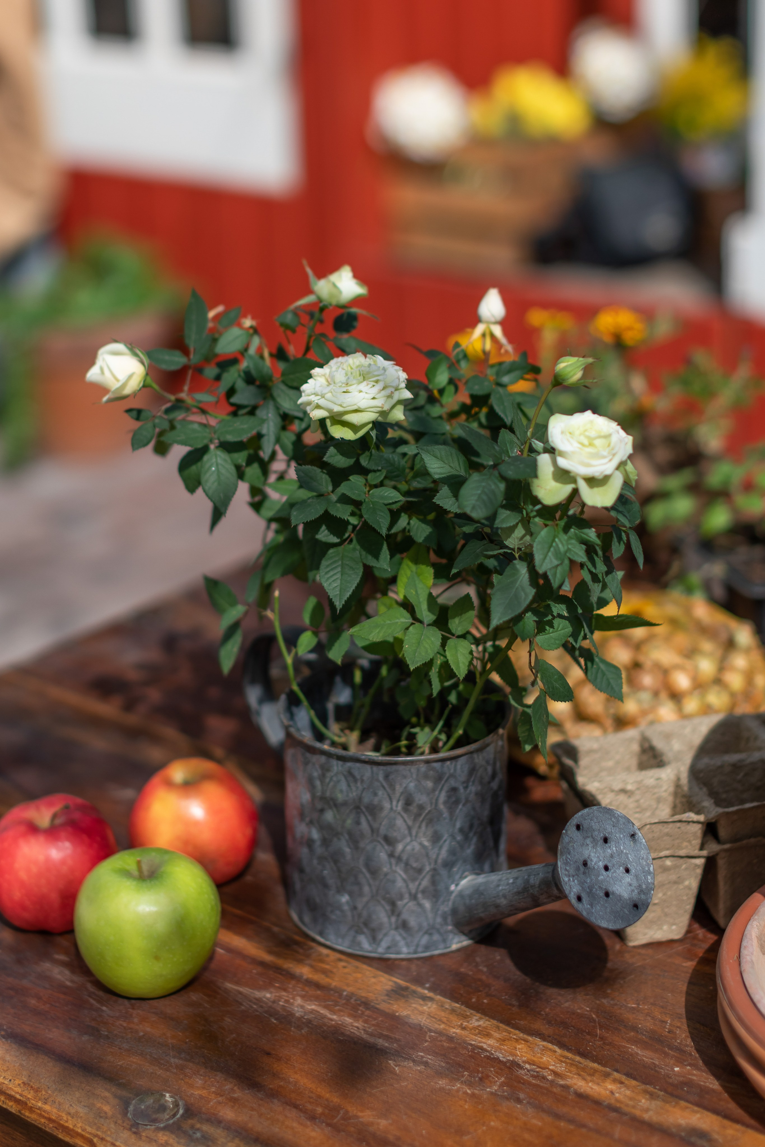 Съемка для проекта: Театрализованный ужин «Один летний день» в отеле Wawelberg. NesterovaMaria.ru