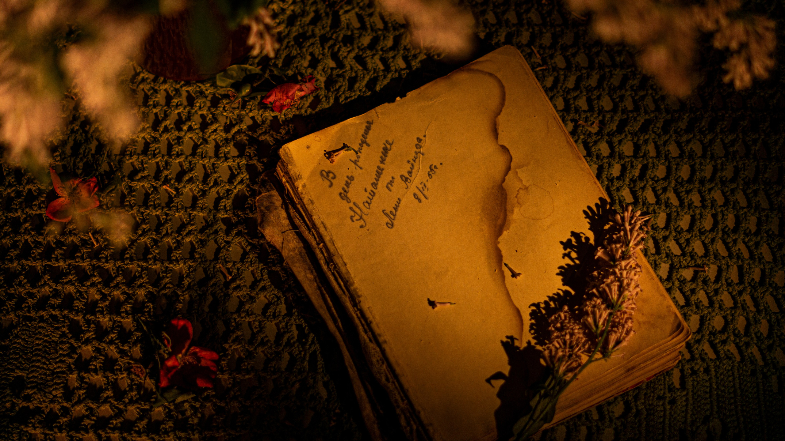 Пейзажи, архитектура, натюрморты. Видеопродакшен | Фотосъёмка | Filimonov & Kirsanova