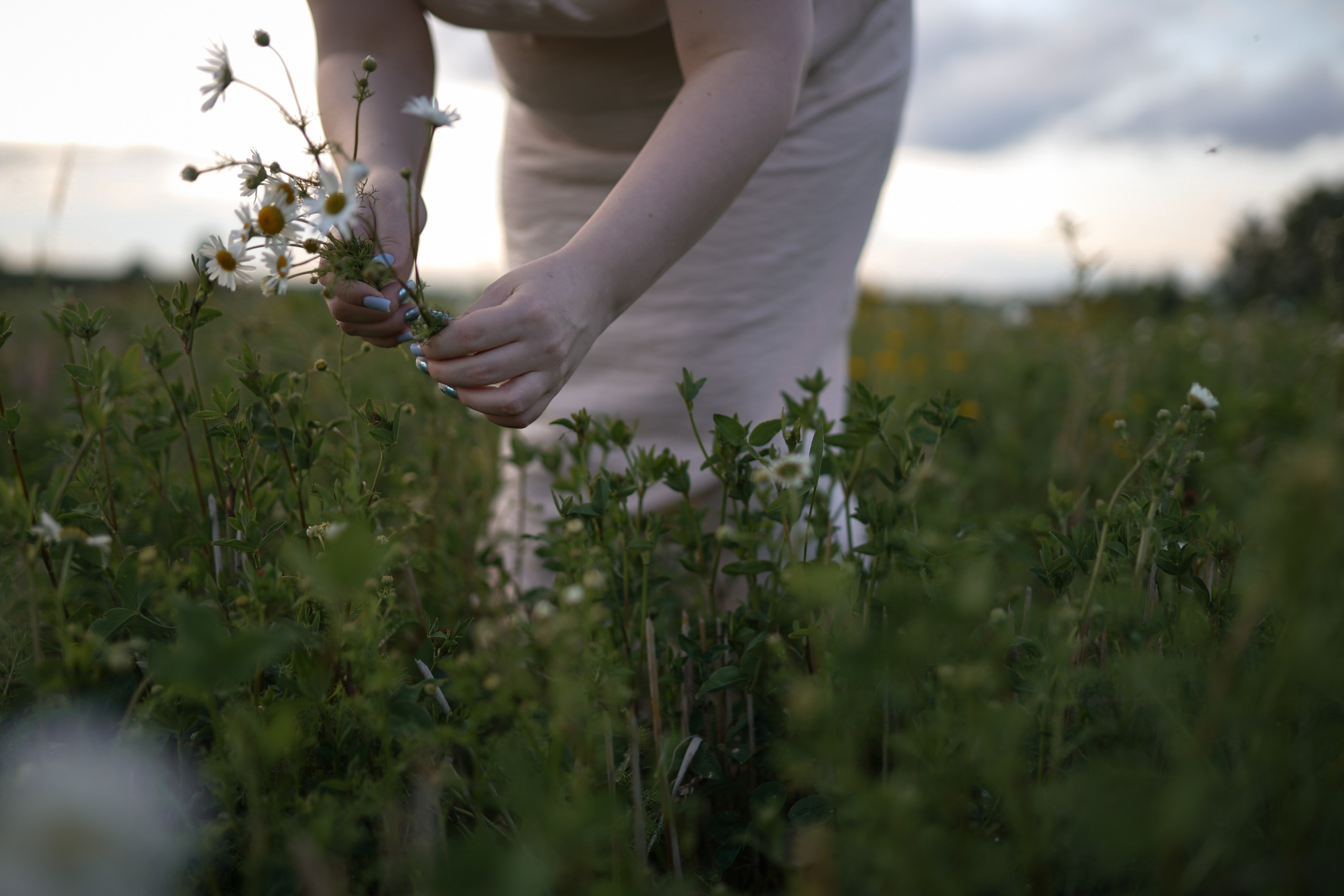 Долгие годы