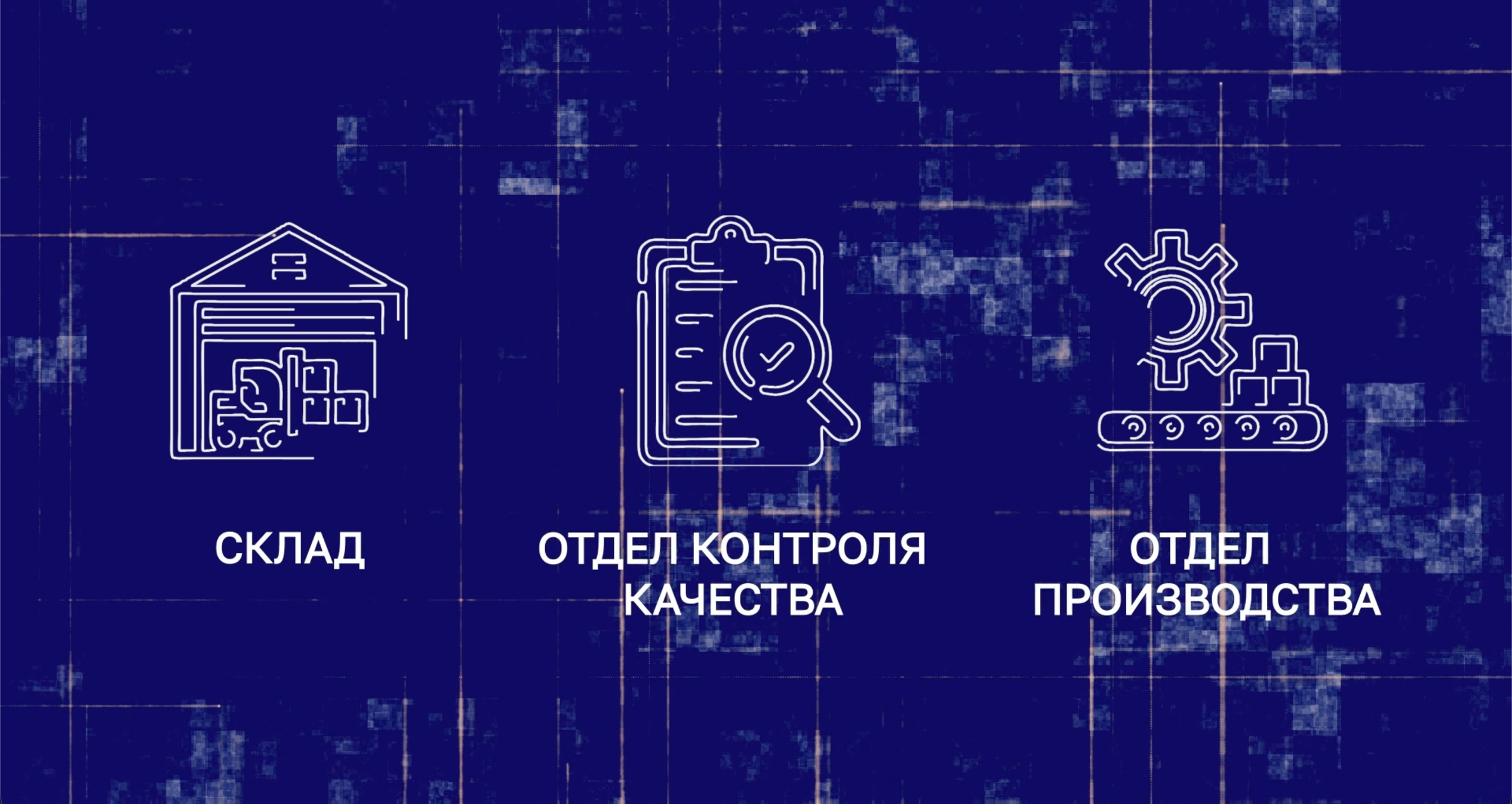 Режиссер Полина Ефремова