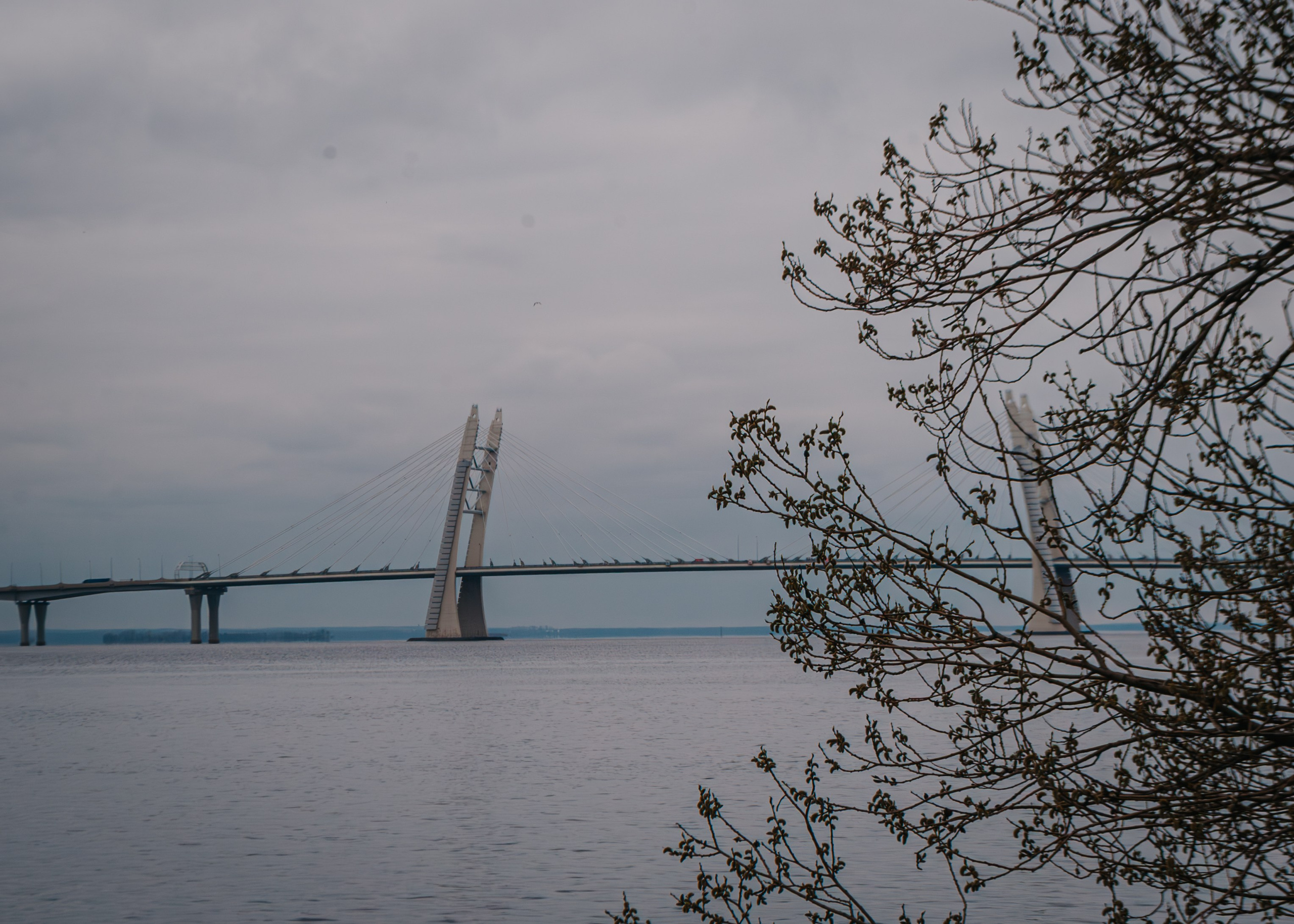 Севкабель. Портретный фотограф DanilNabody