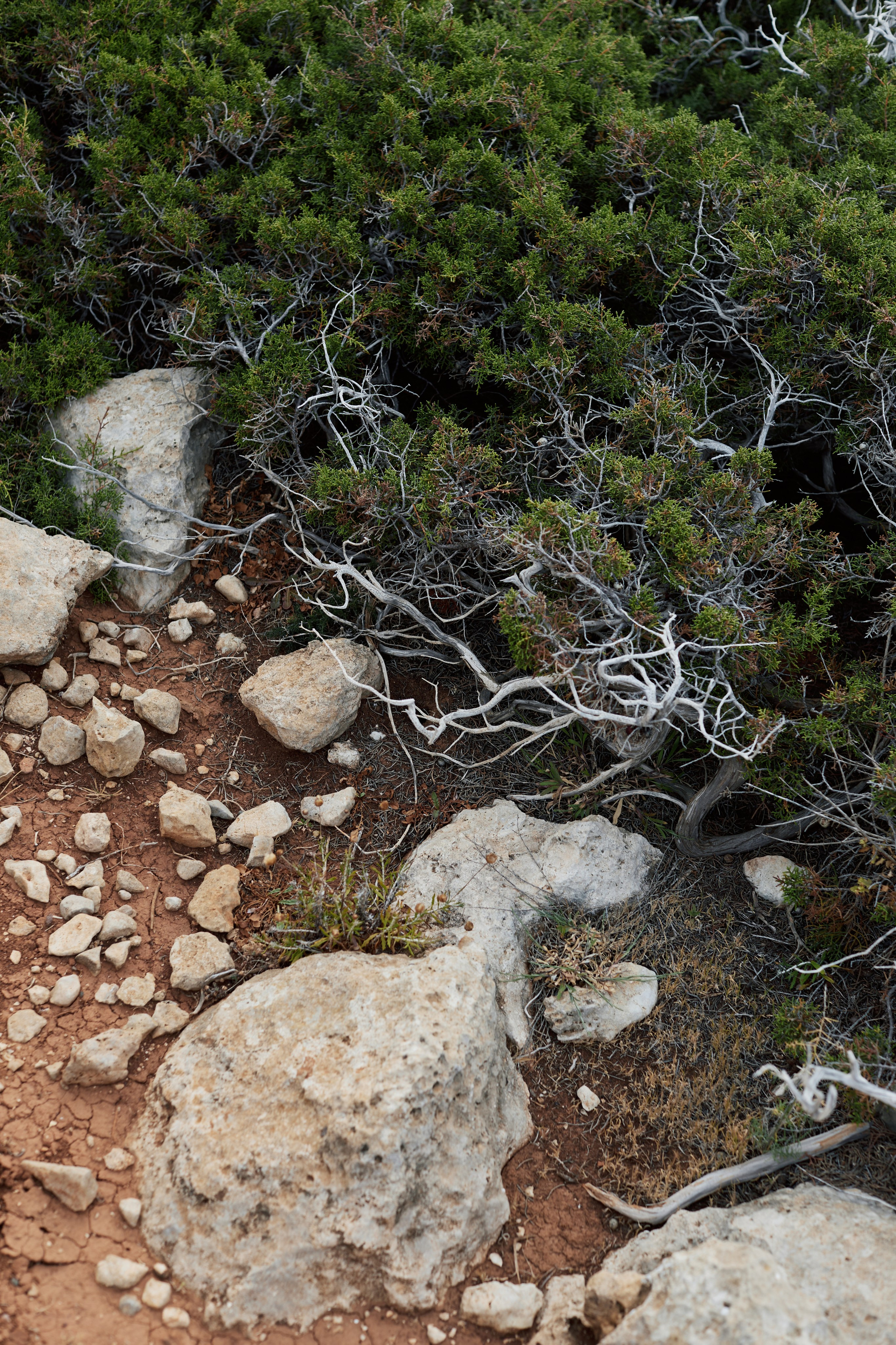 Лариса. Фотограф Анастасия Губернаторова